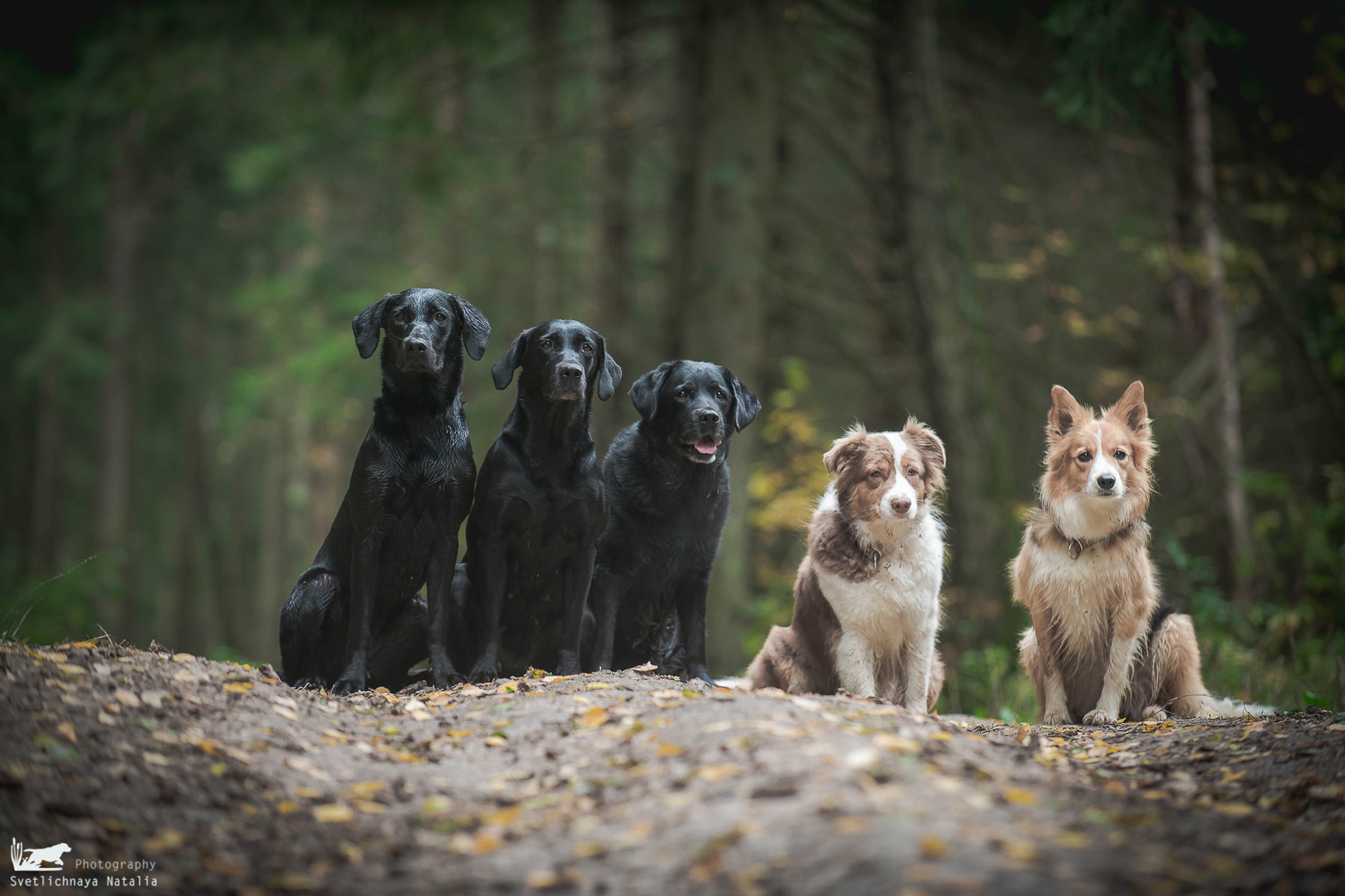 Джем, Мэгги, Юта