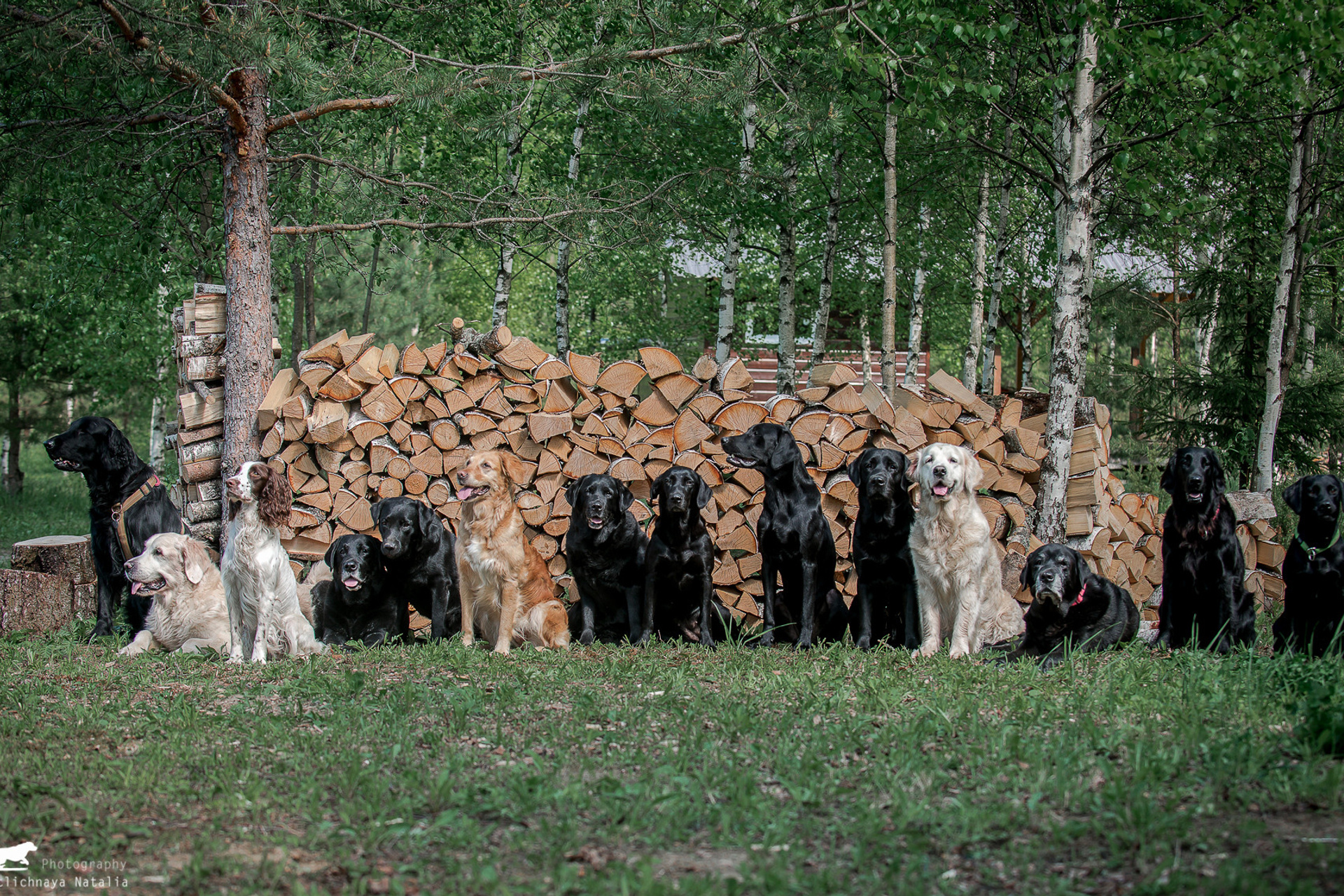 Семинар Е.Токаевой (Школа Шмеля) в Малиново (22.05.2021)