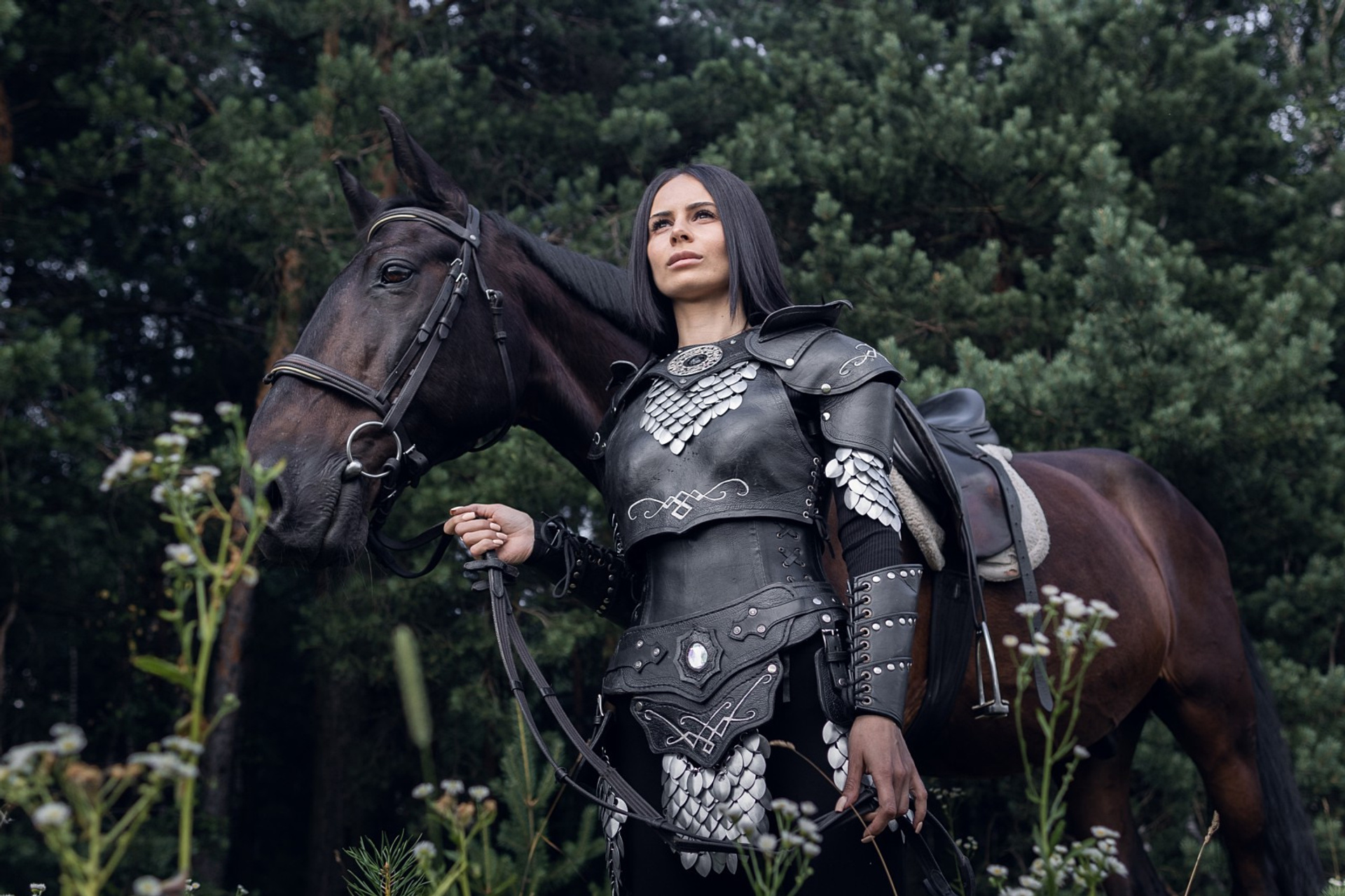 Чёрный рыцарь