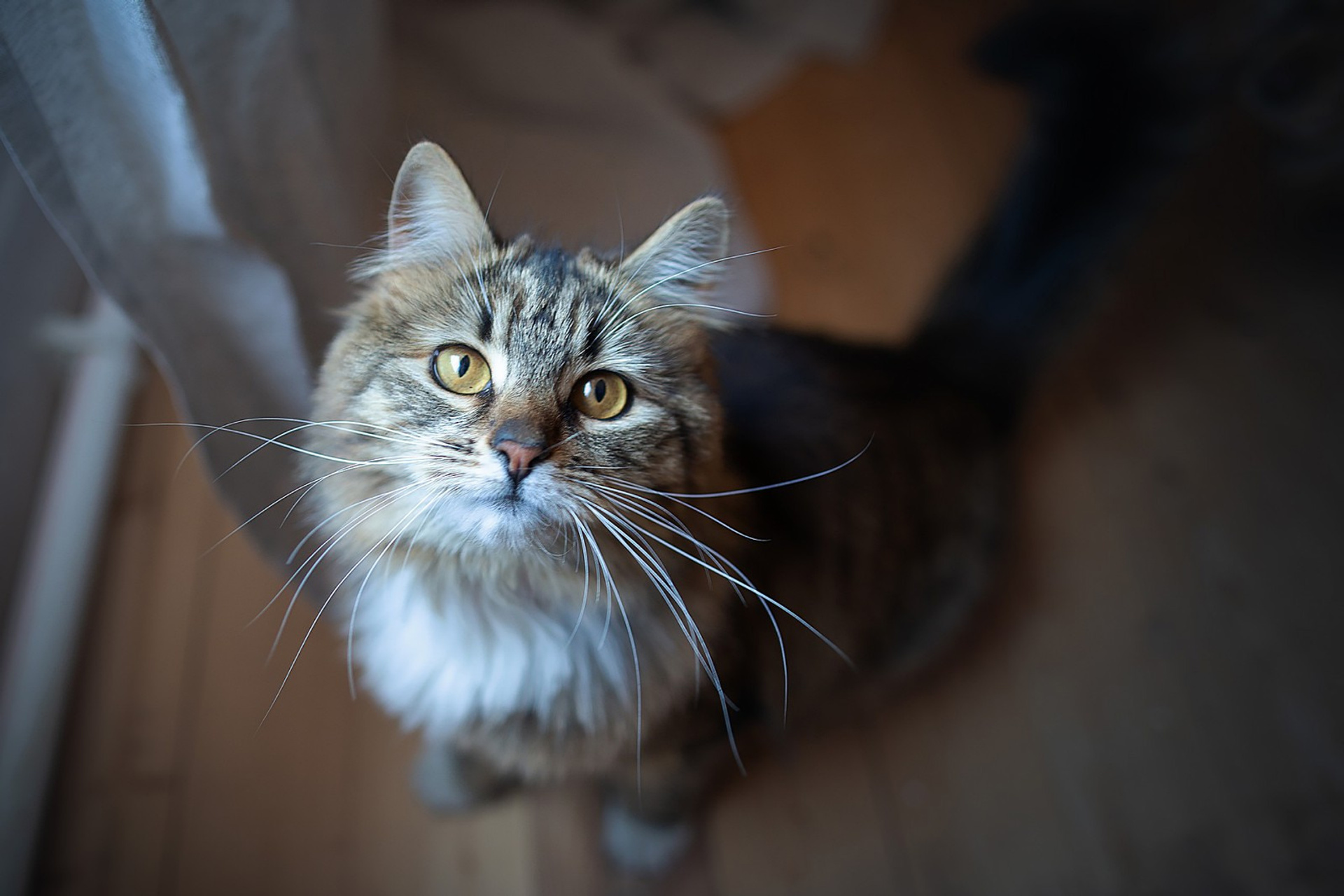 Случайные фотографии