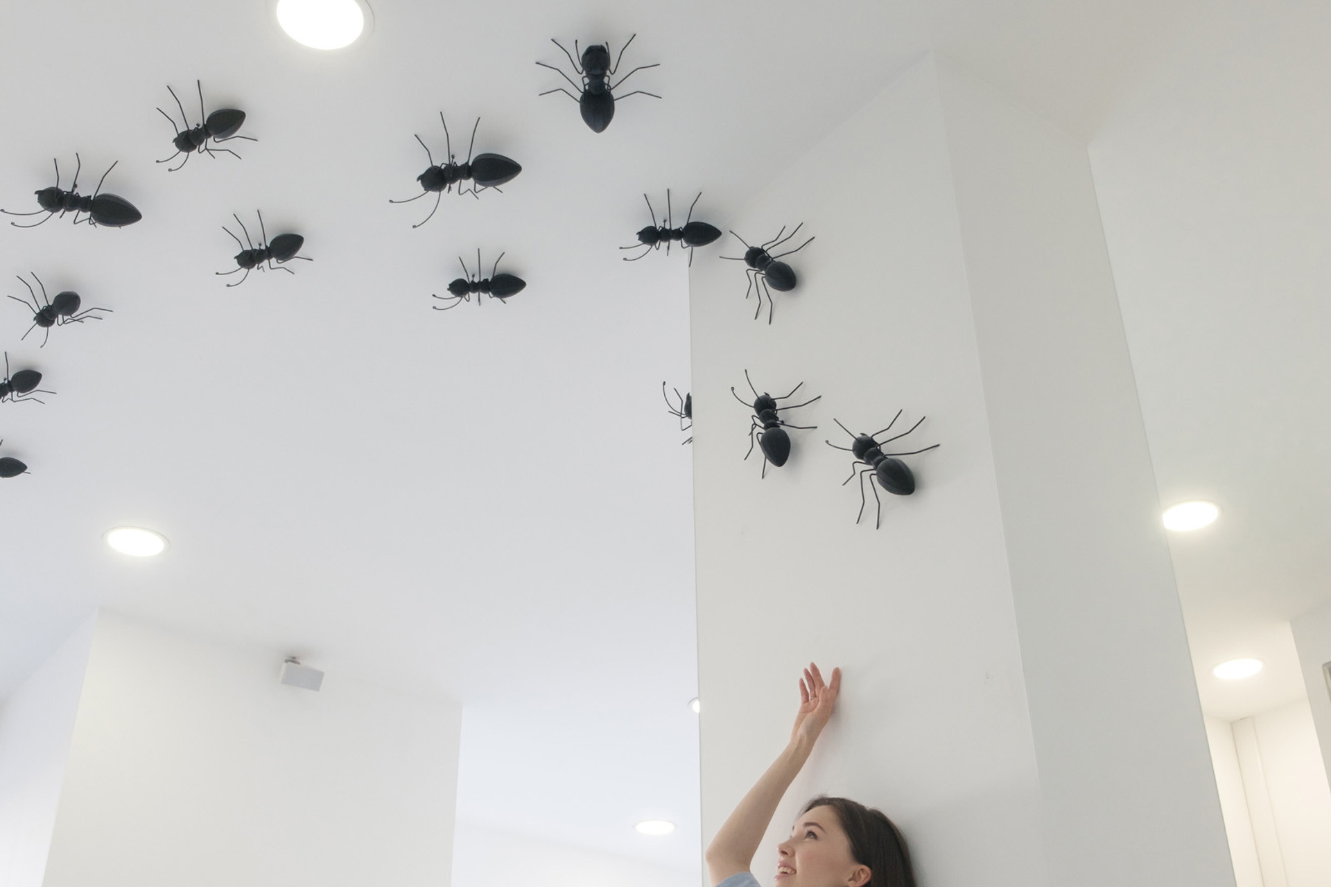 Beauty Colony — декор LOOK in DEKOR