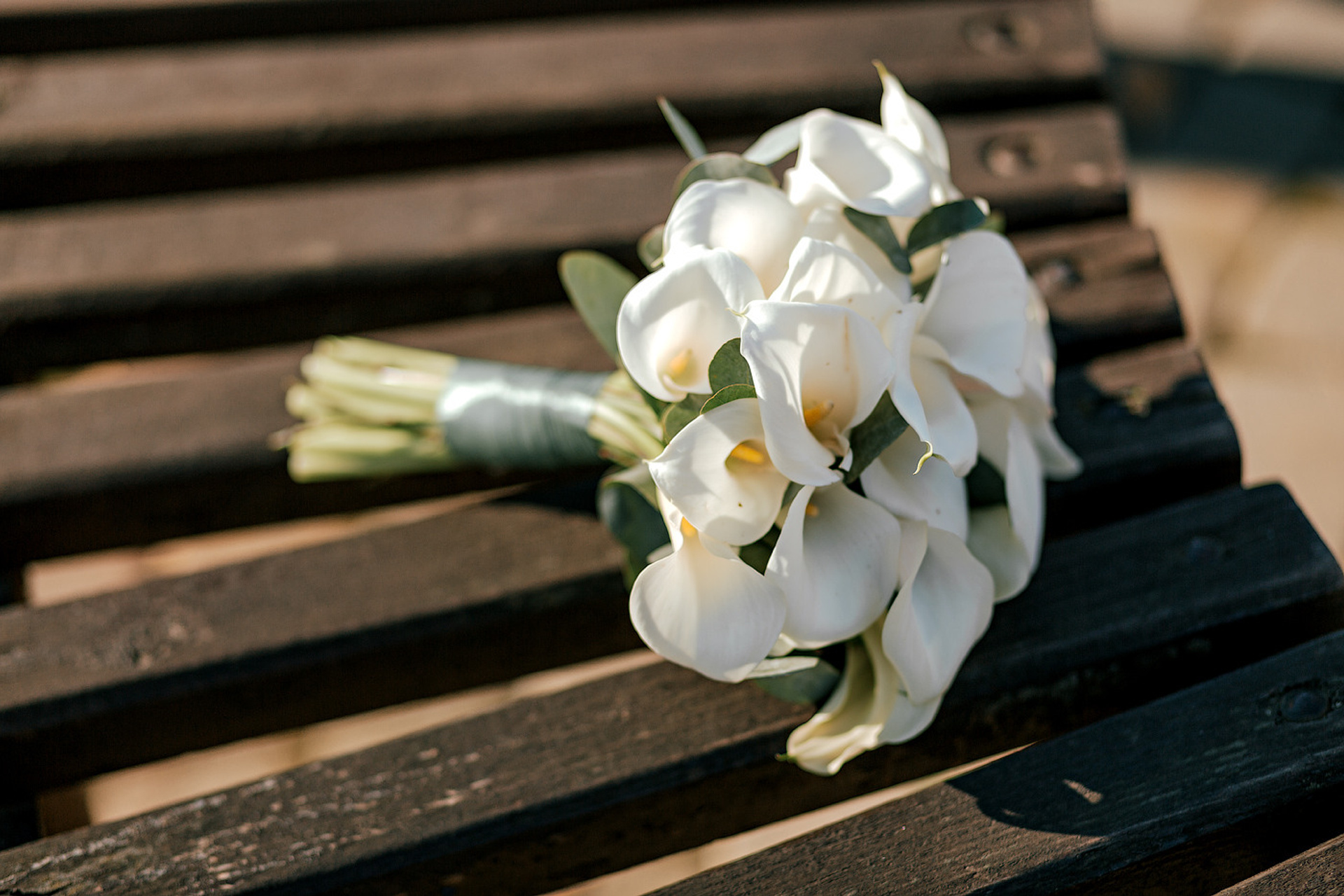 Алена и Влад