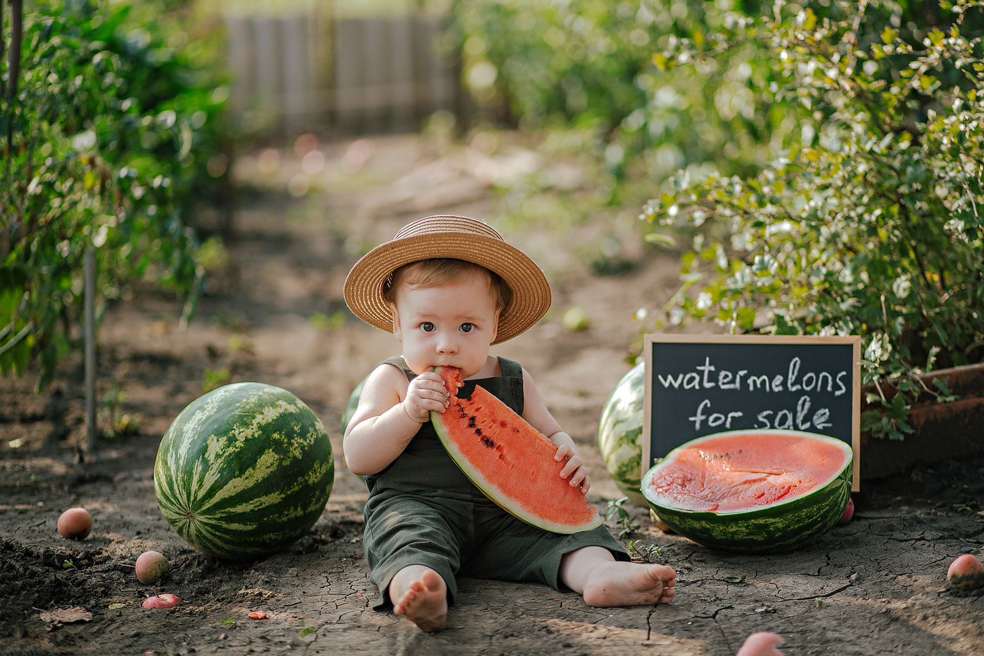 Тазик с арбузами.