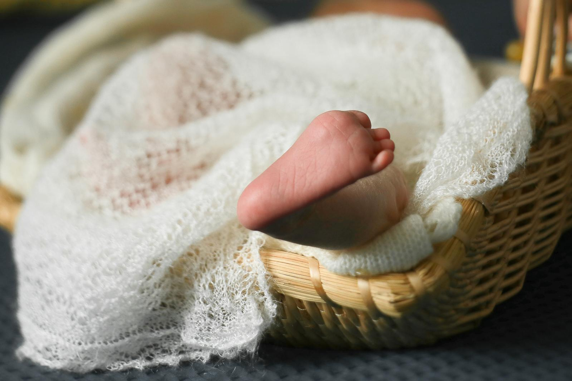 В гостях у Миши