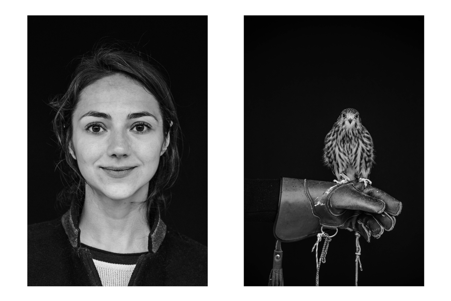 The Art of Falconry (2017)