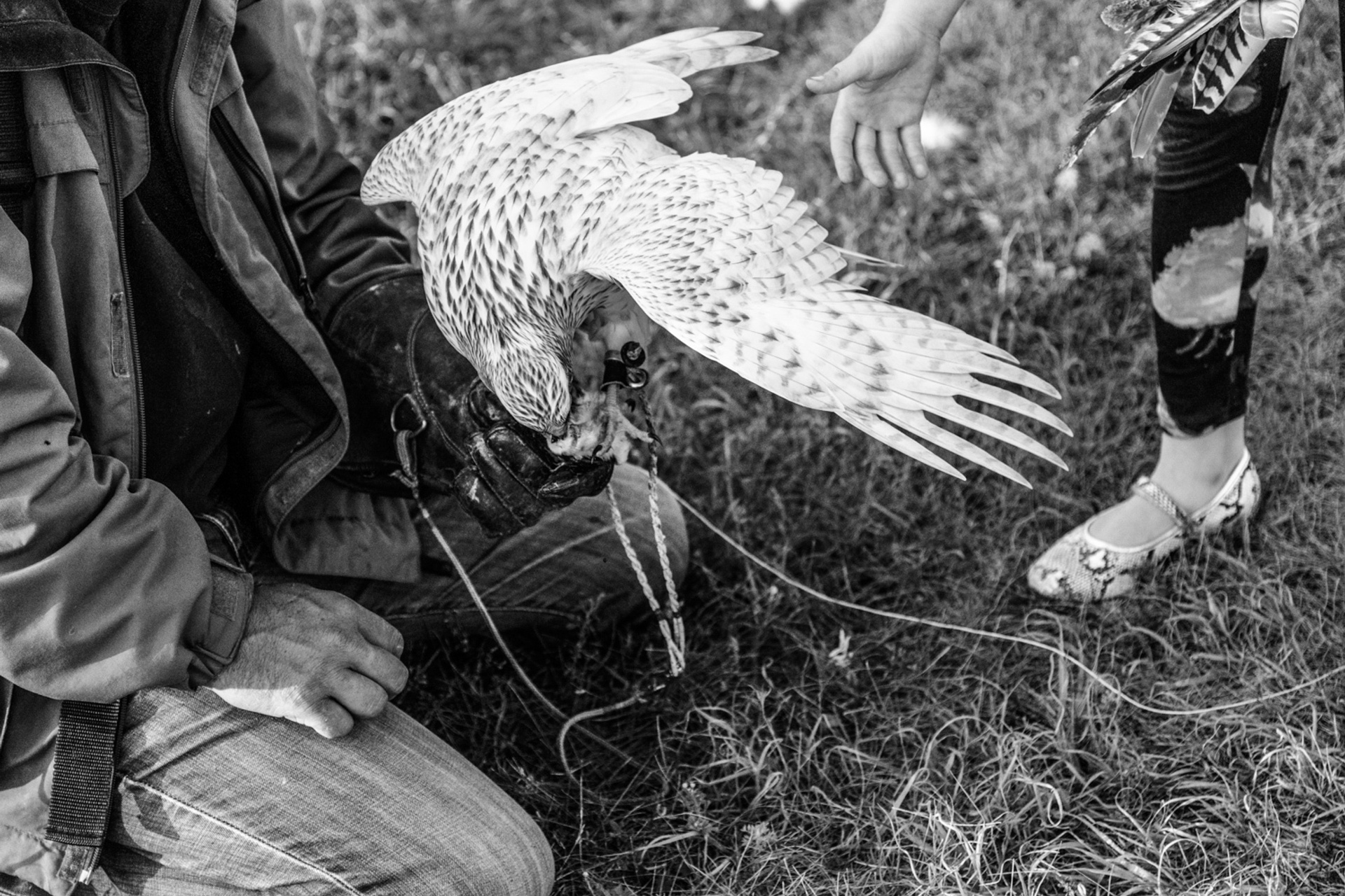 At the Galich Hills (2017-2019)