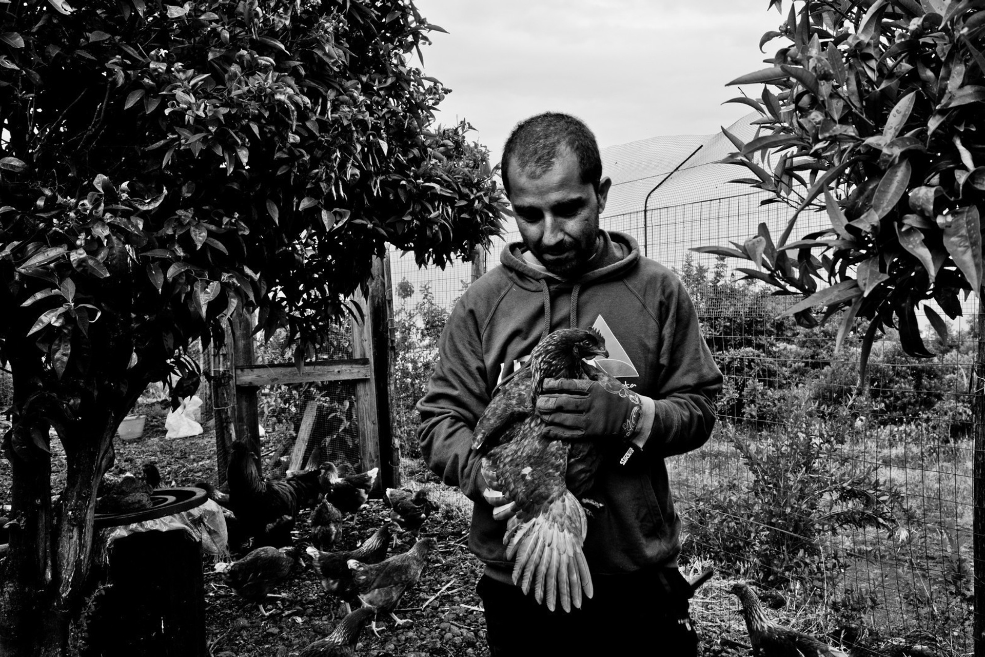 In the natural way (2015)