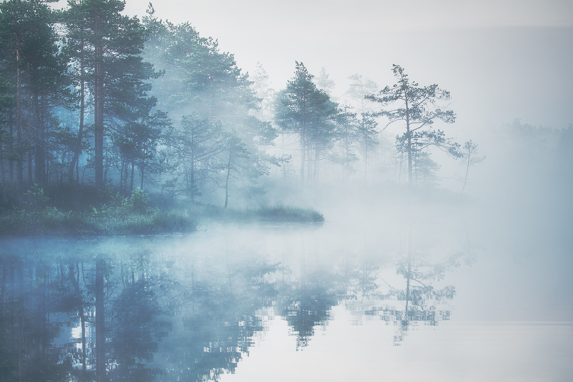 Озерно — болотные заповедники