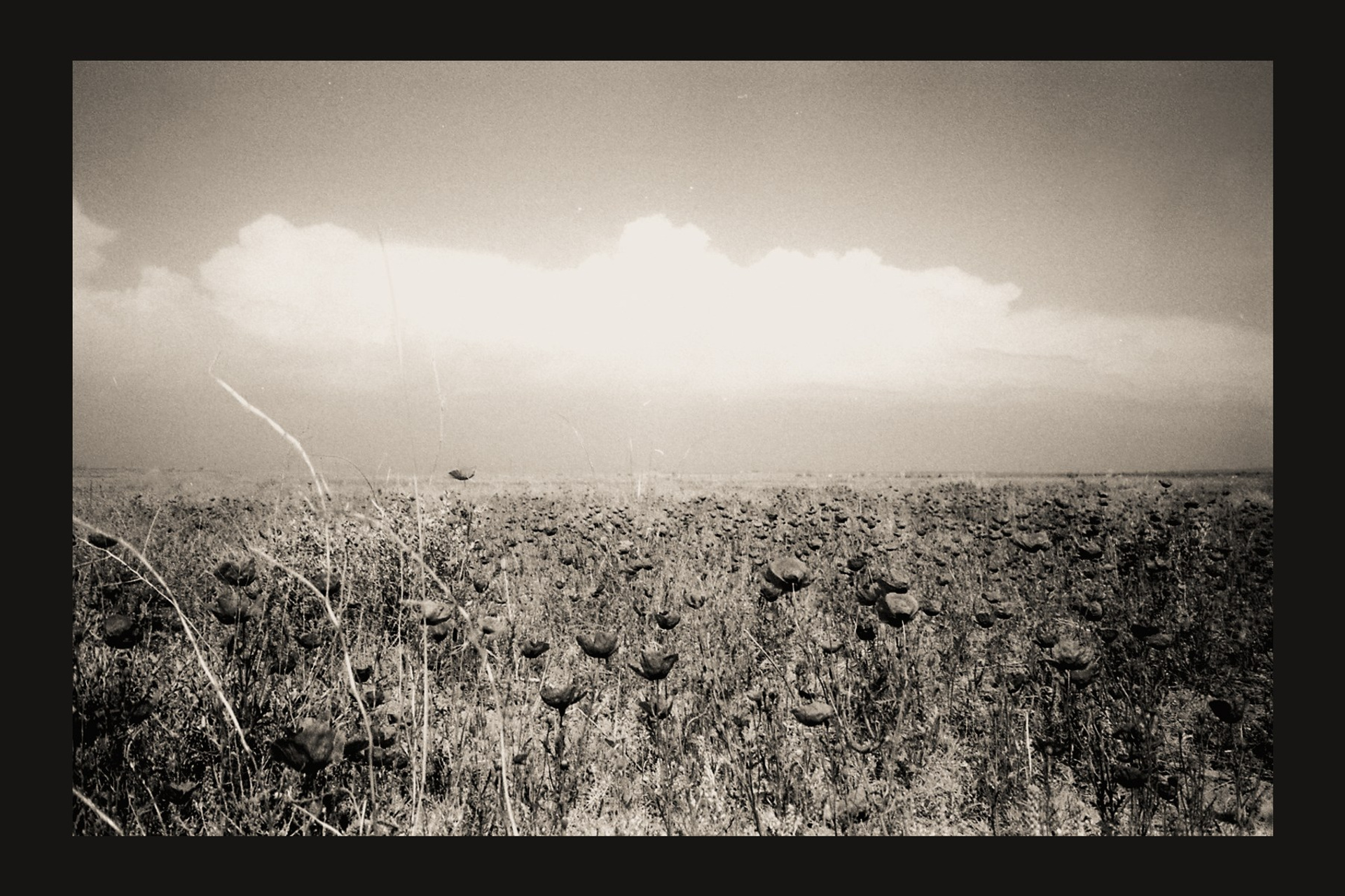 Фотограф в Алматы Артемий Матюнин