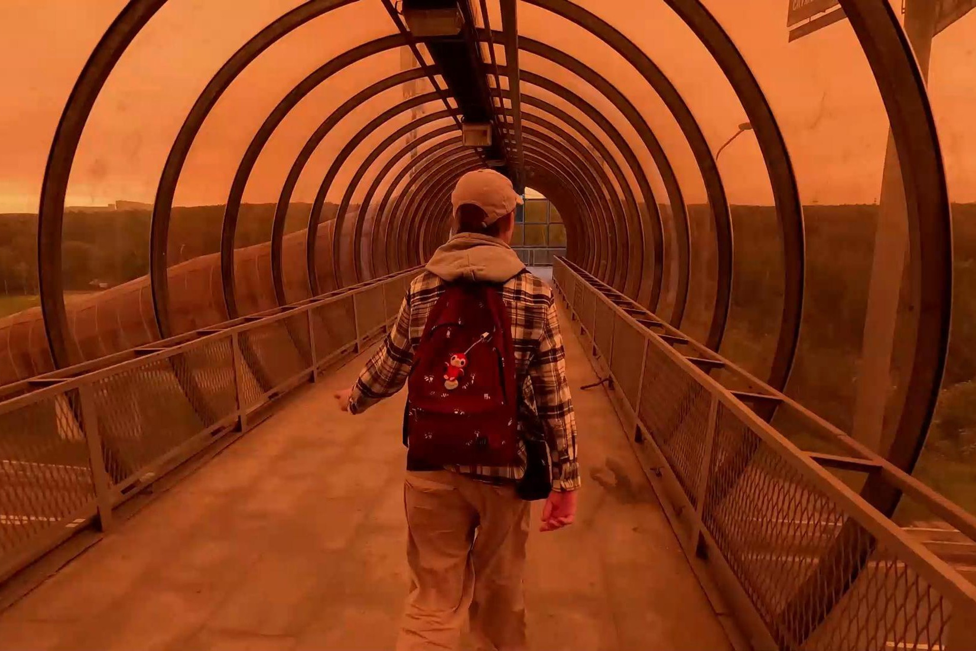 Развитие детей. Изостудия «Мы рисуем!» ♥ Южное Бутово, Москва