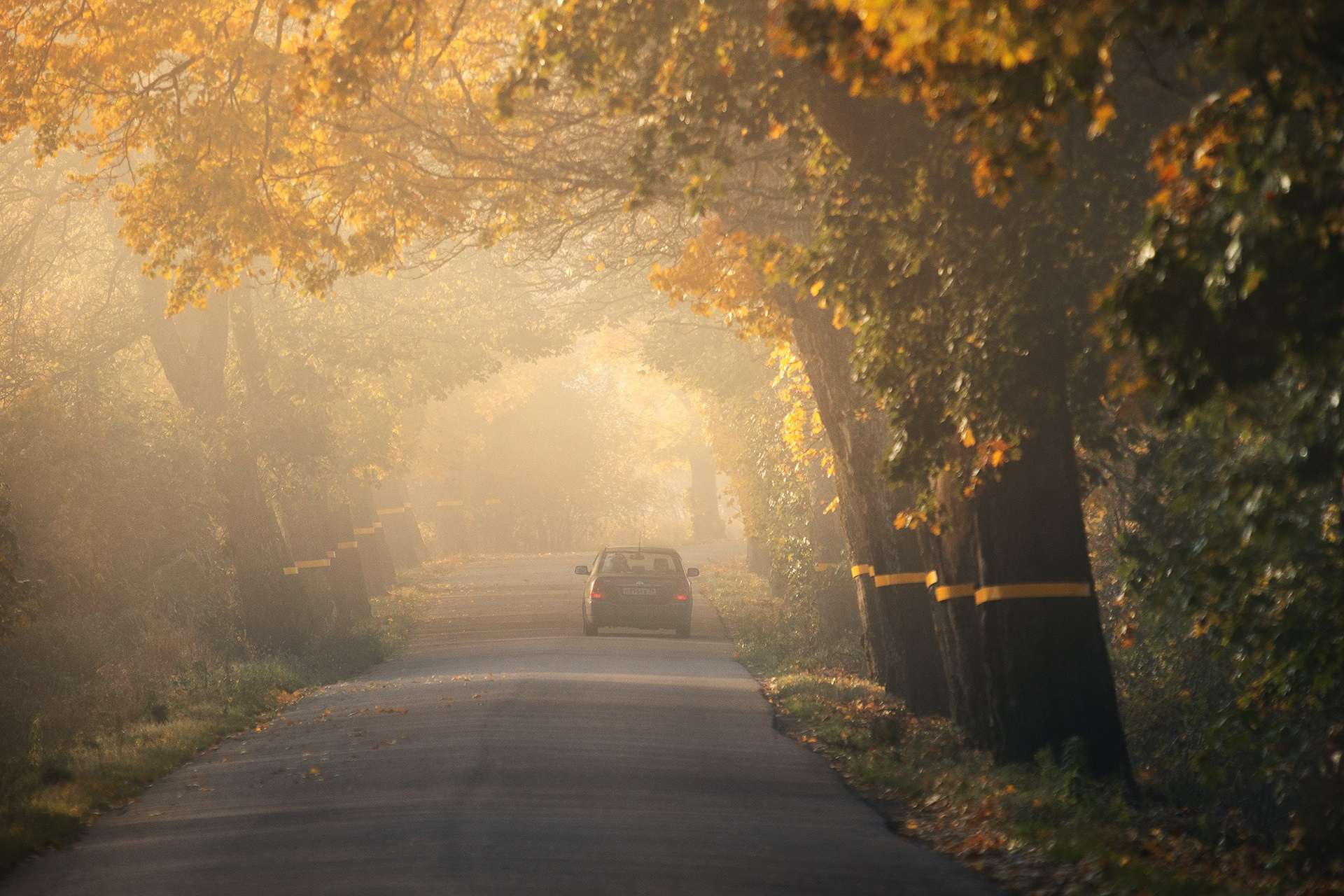 Россия. Калининградская область