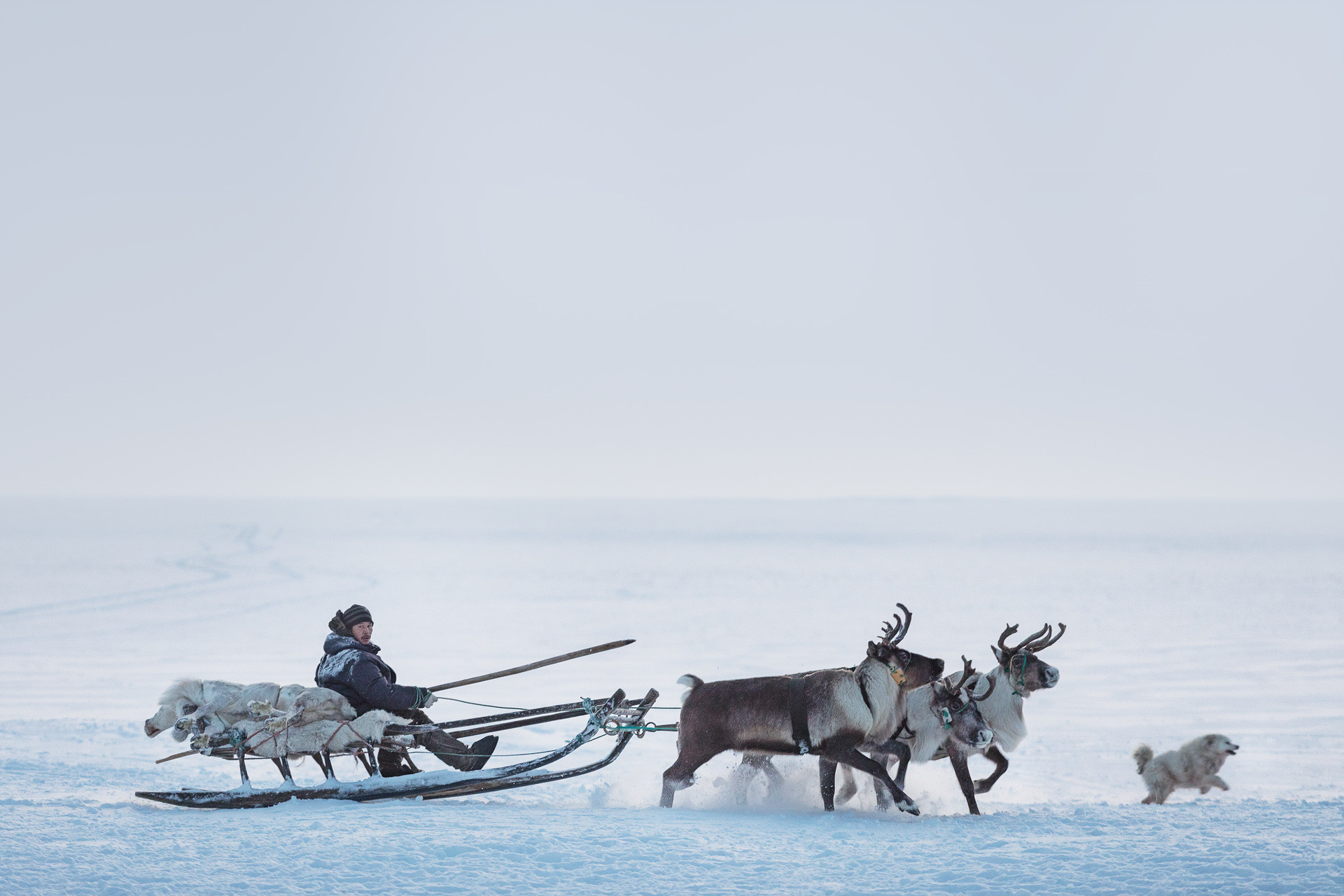 Россия. Ненецкий автономный округ
