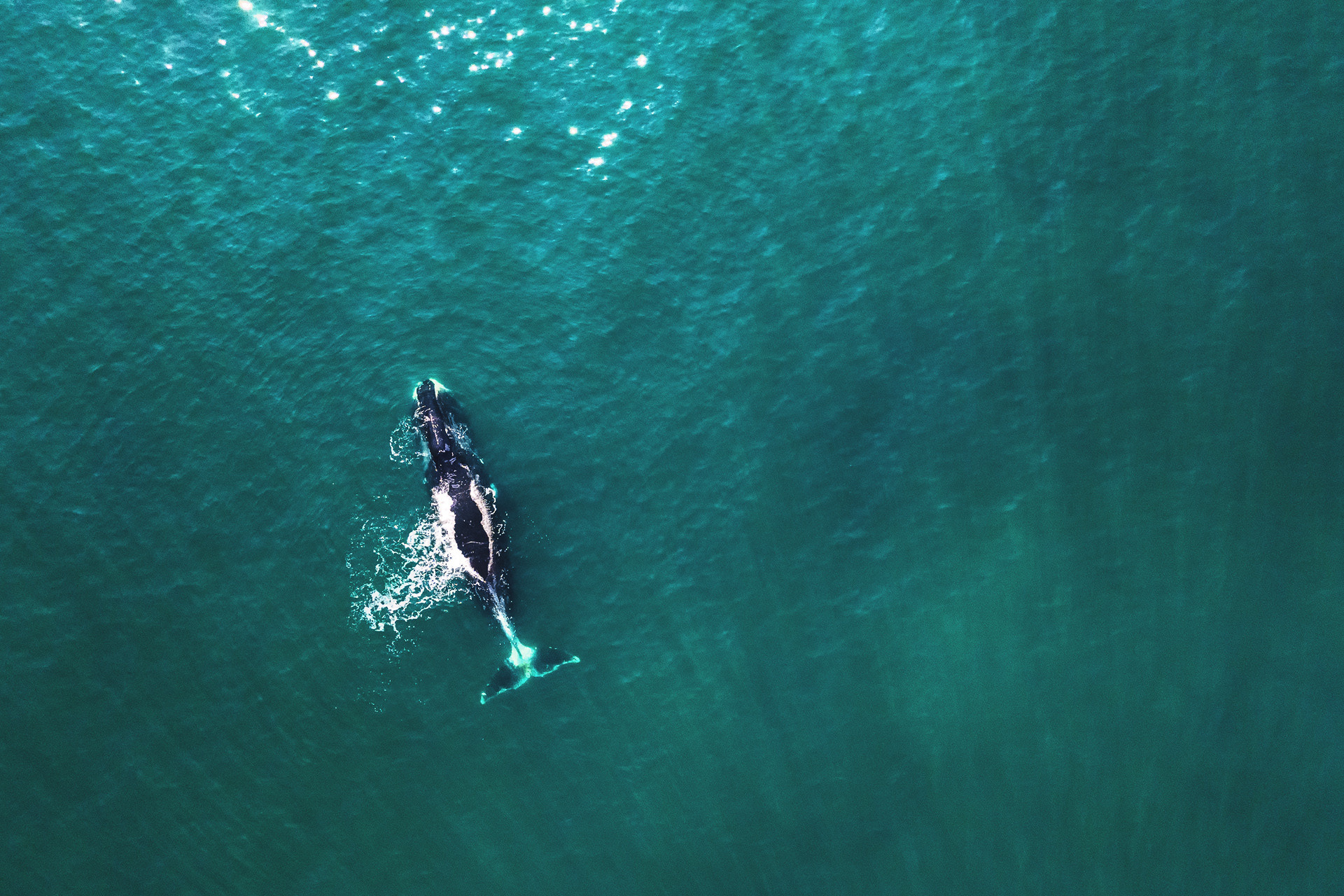 Россия. Шантарские острова