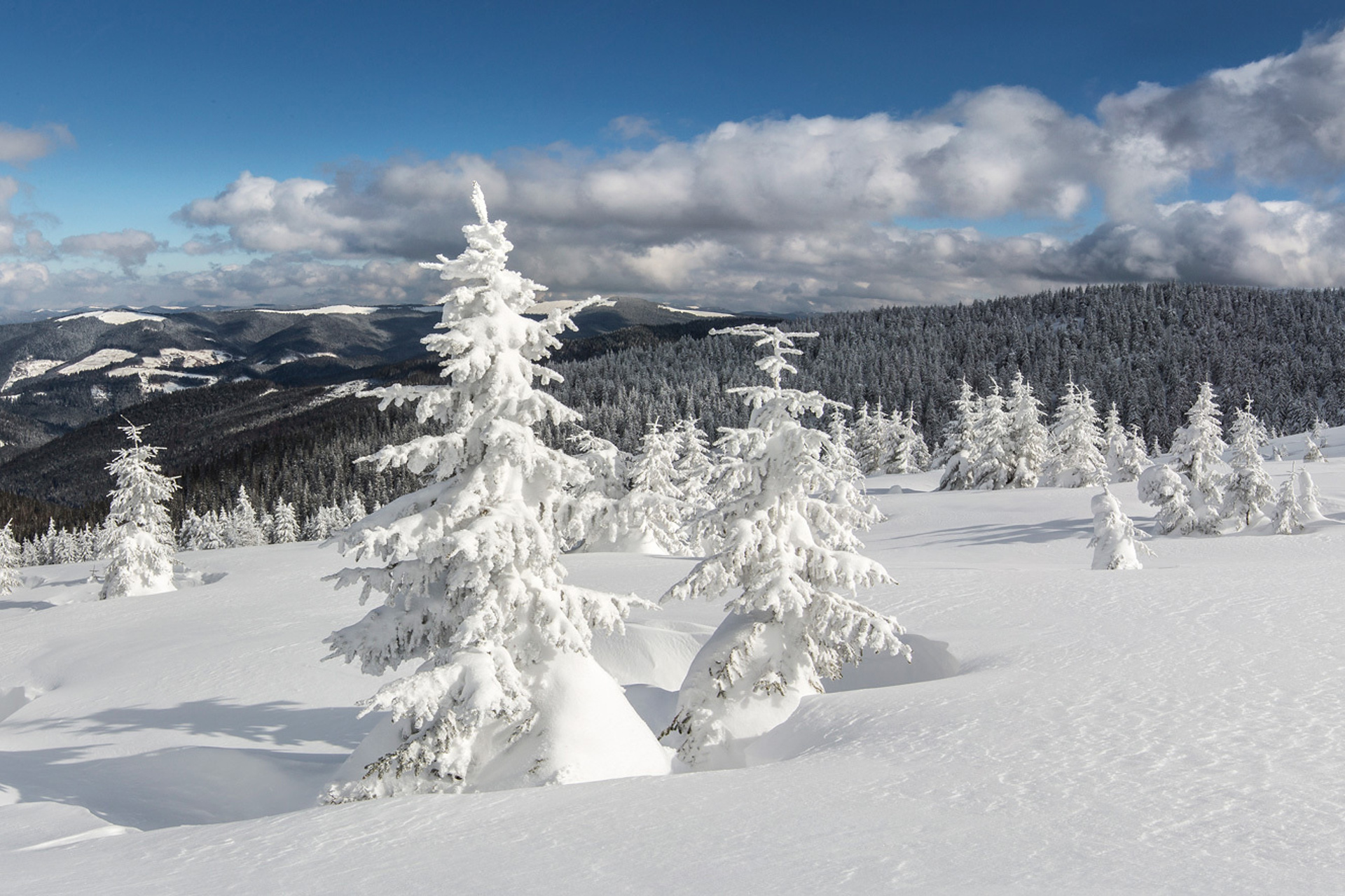 Зимние Карпаты