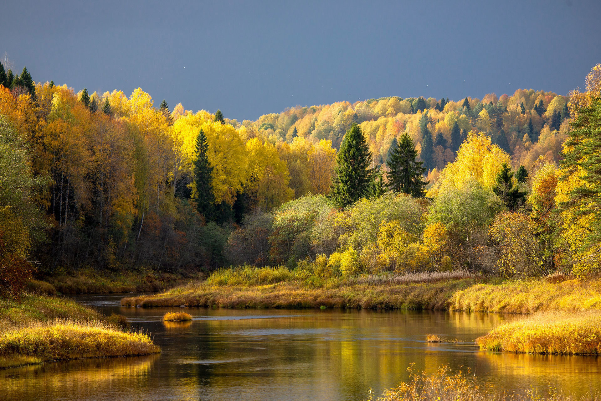 Вепсский край