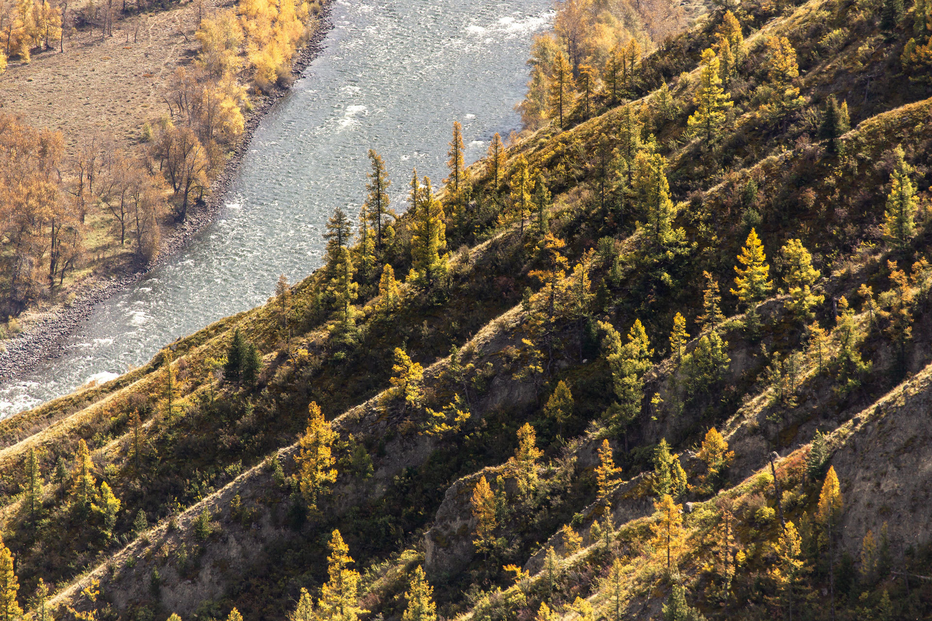 Горный Алтай