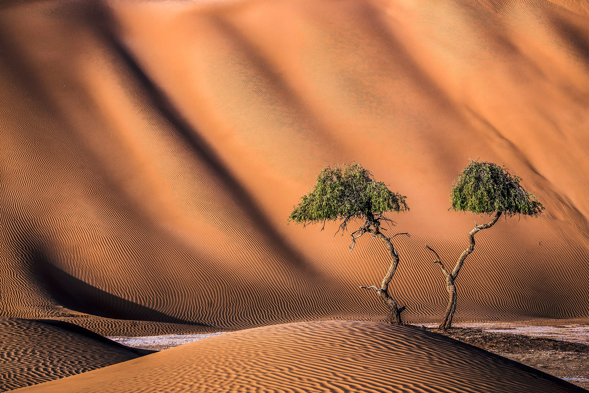 Пустыня Руб Аль Хали, Оман