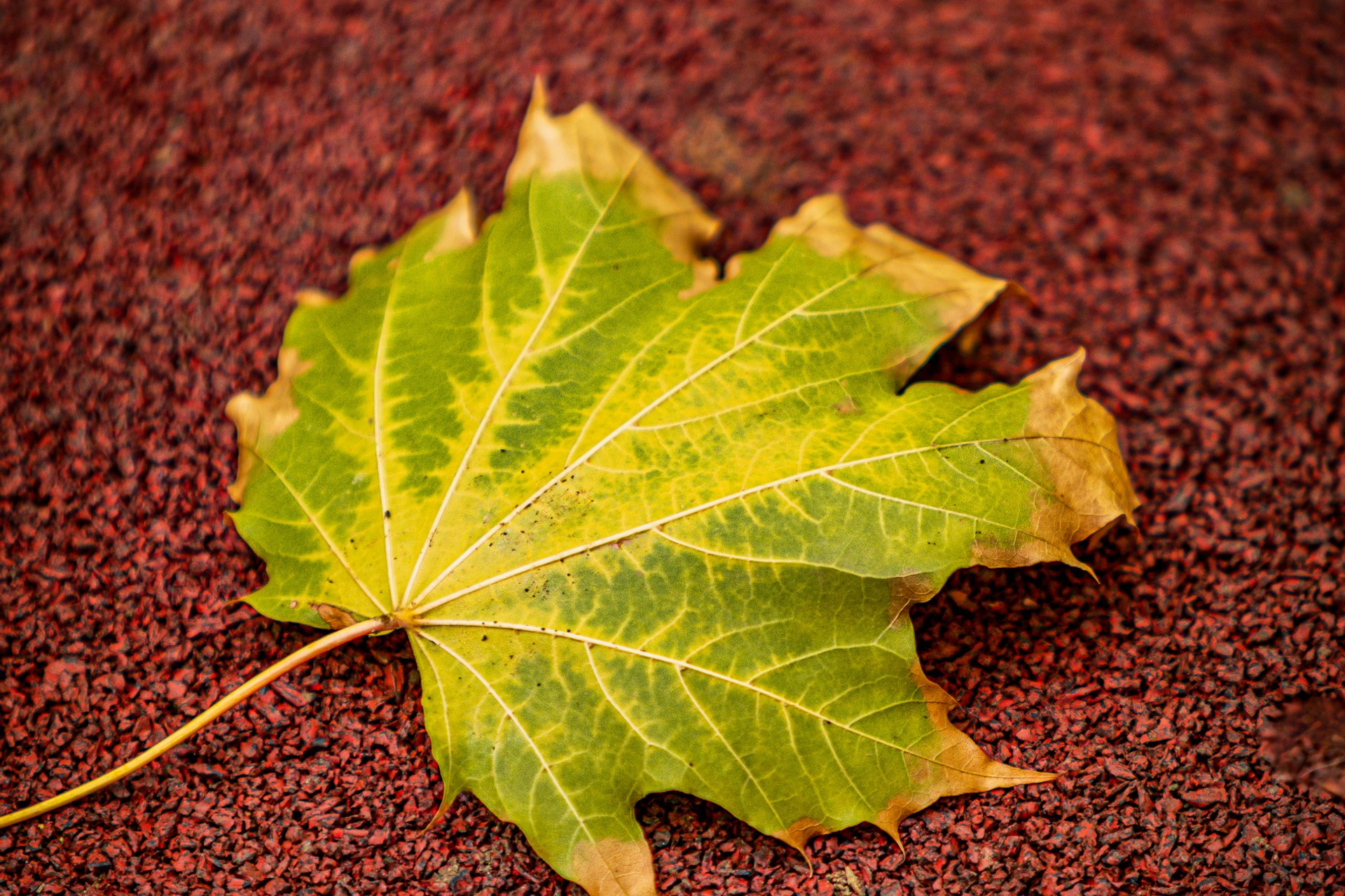 Пейзажное Фото. Https://lisenkofotograf.ru