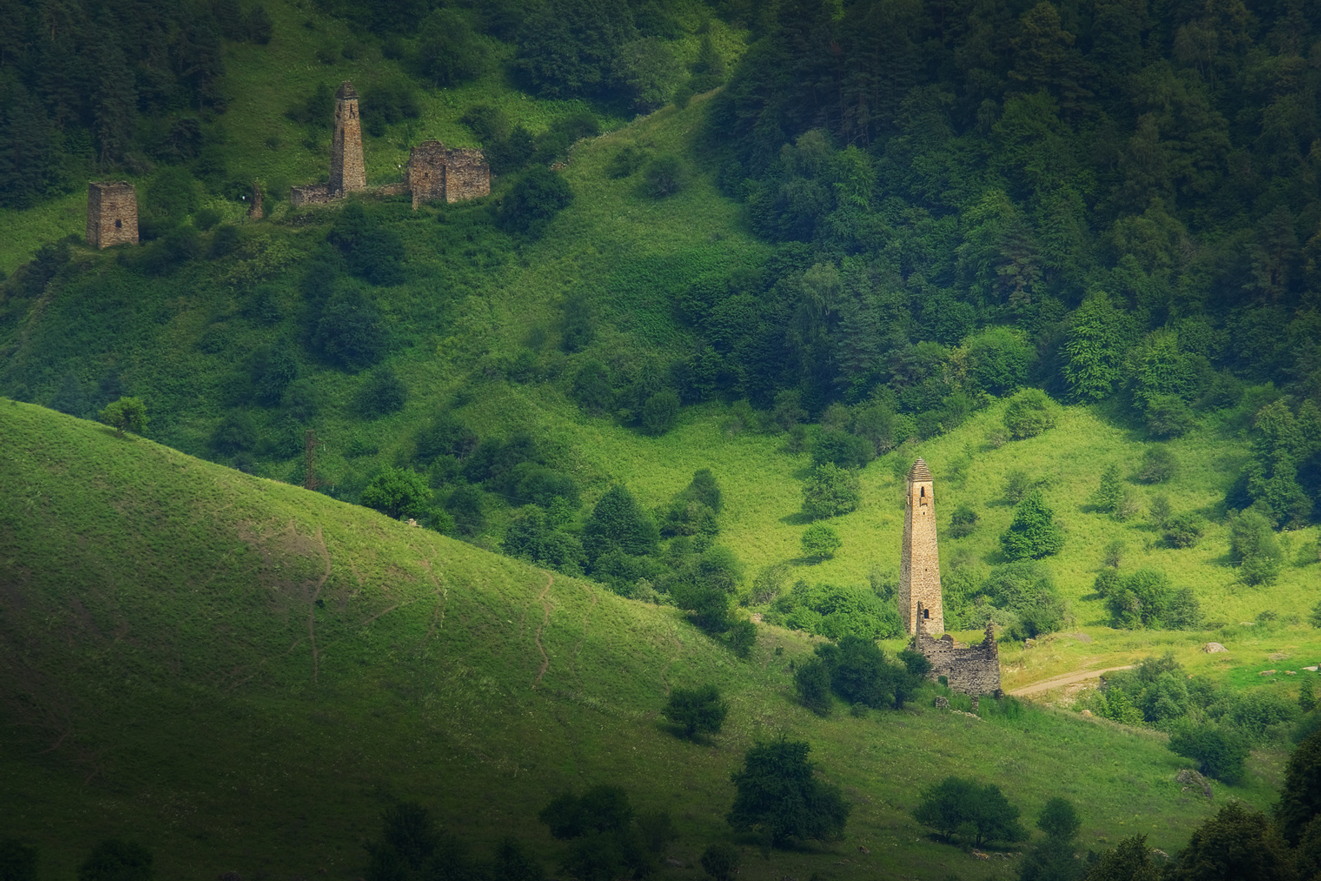 Дагестан, Чечня, Ингушетия