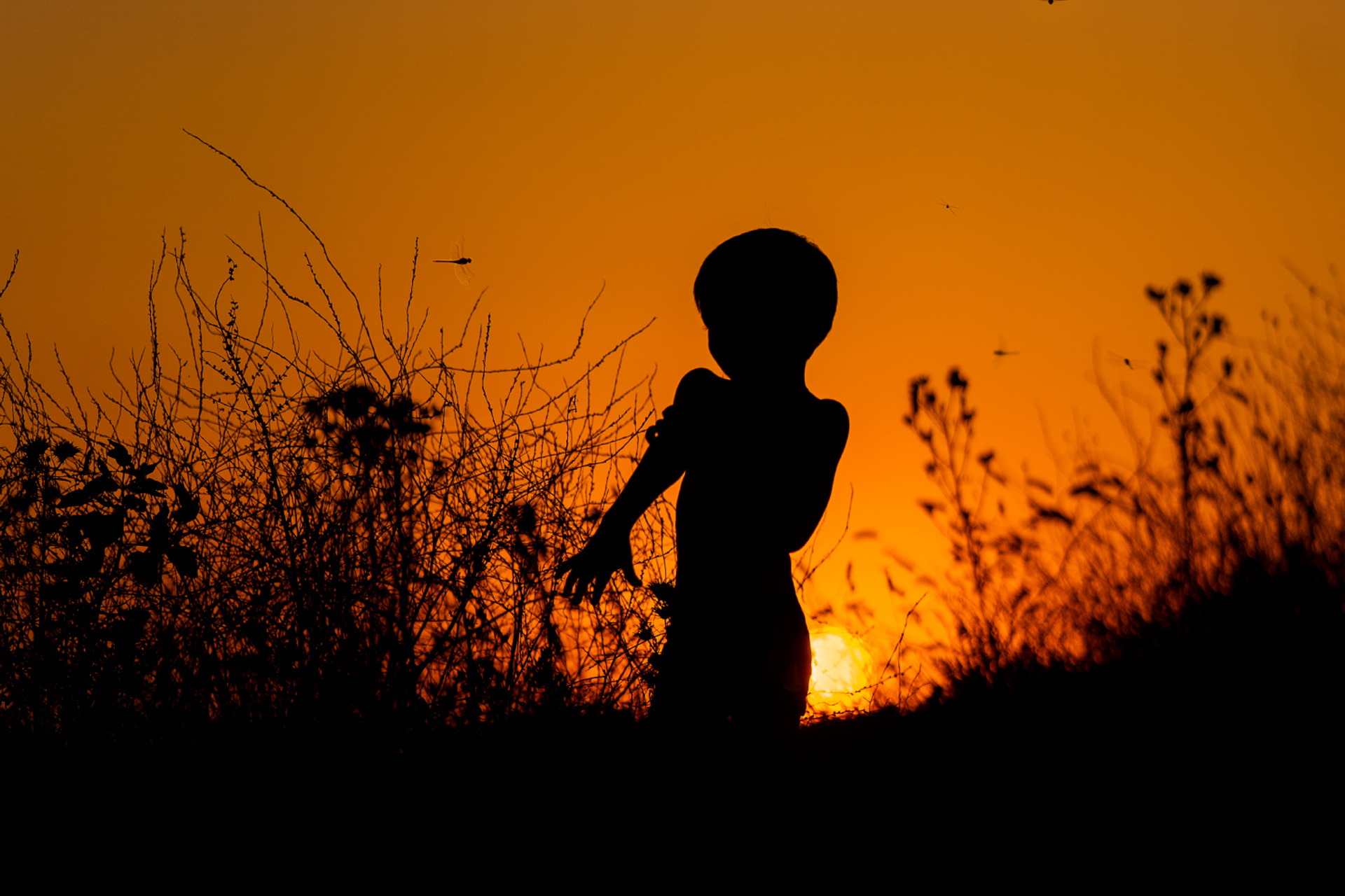 Детские фотосессии