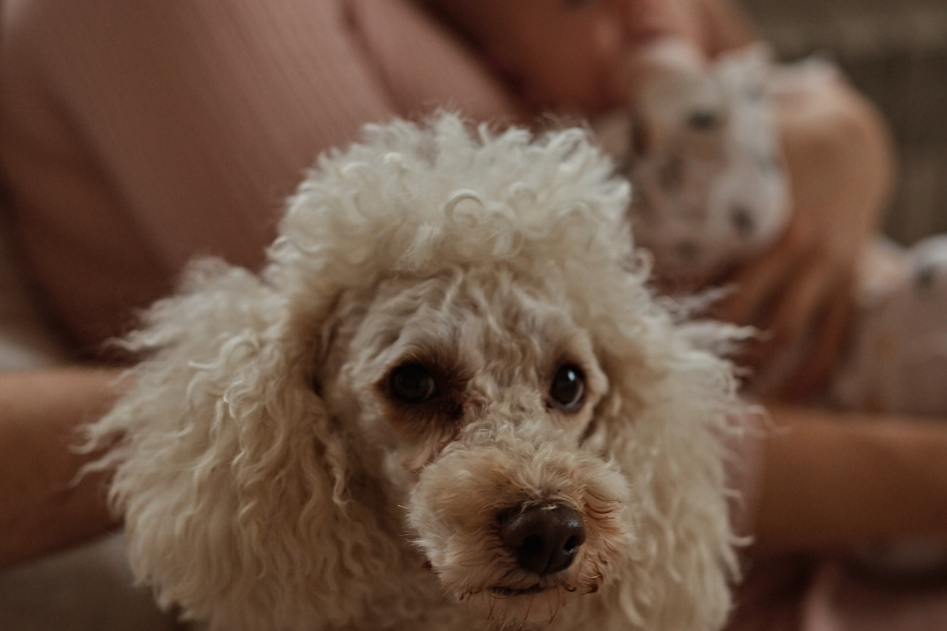 Серии. Семейный фотограф Новороссийск, Анапа, Геленджик Мария Колесниченко