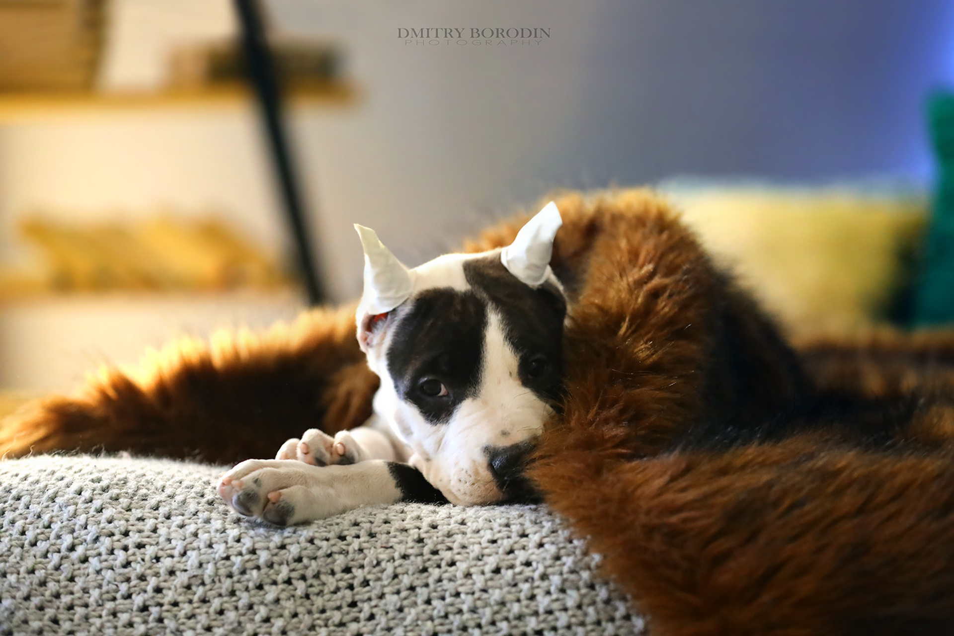 20.12.2021 Ам Стафф Норд