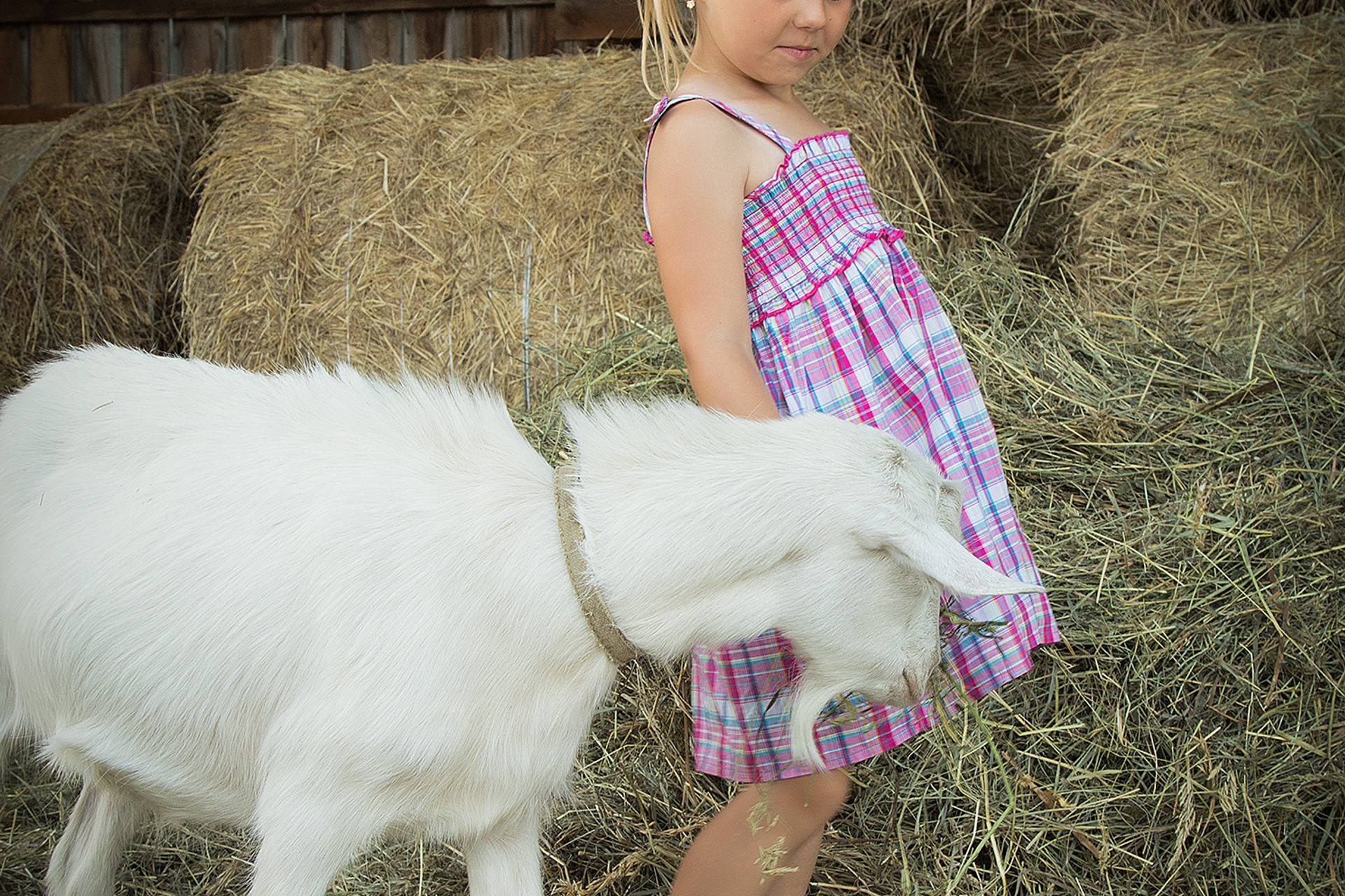Дети. Свадебный, семейный и школьный фотограф в Иркутске Беломестнова Ольга
