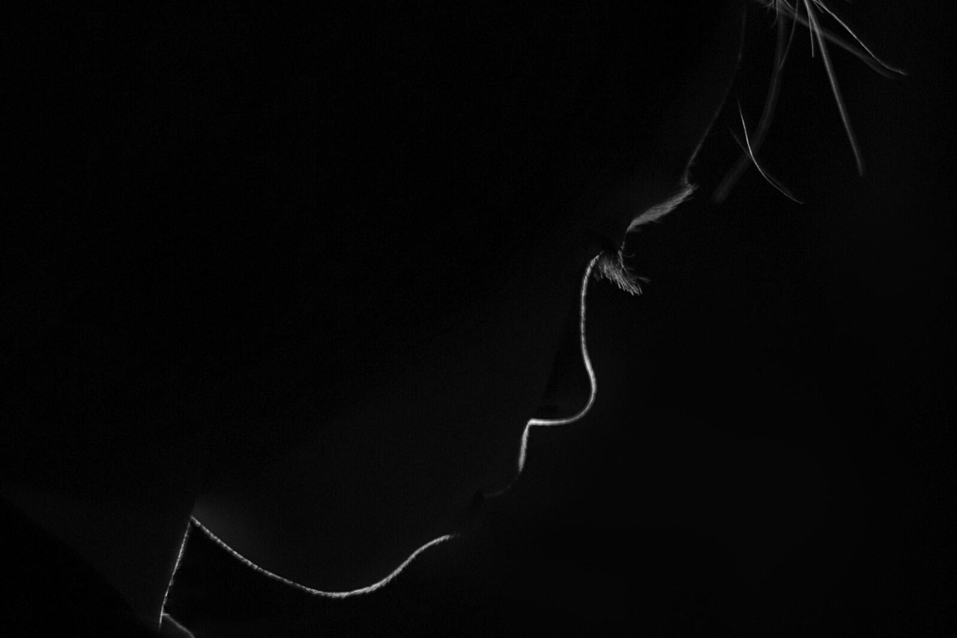 Дети. Свадебный, семейный и школьный фотограф в Иркутске Беломестнова Ольга