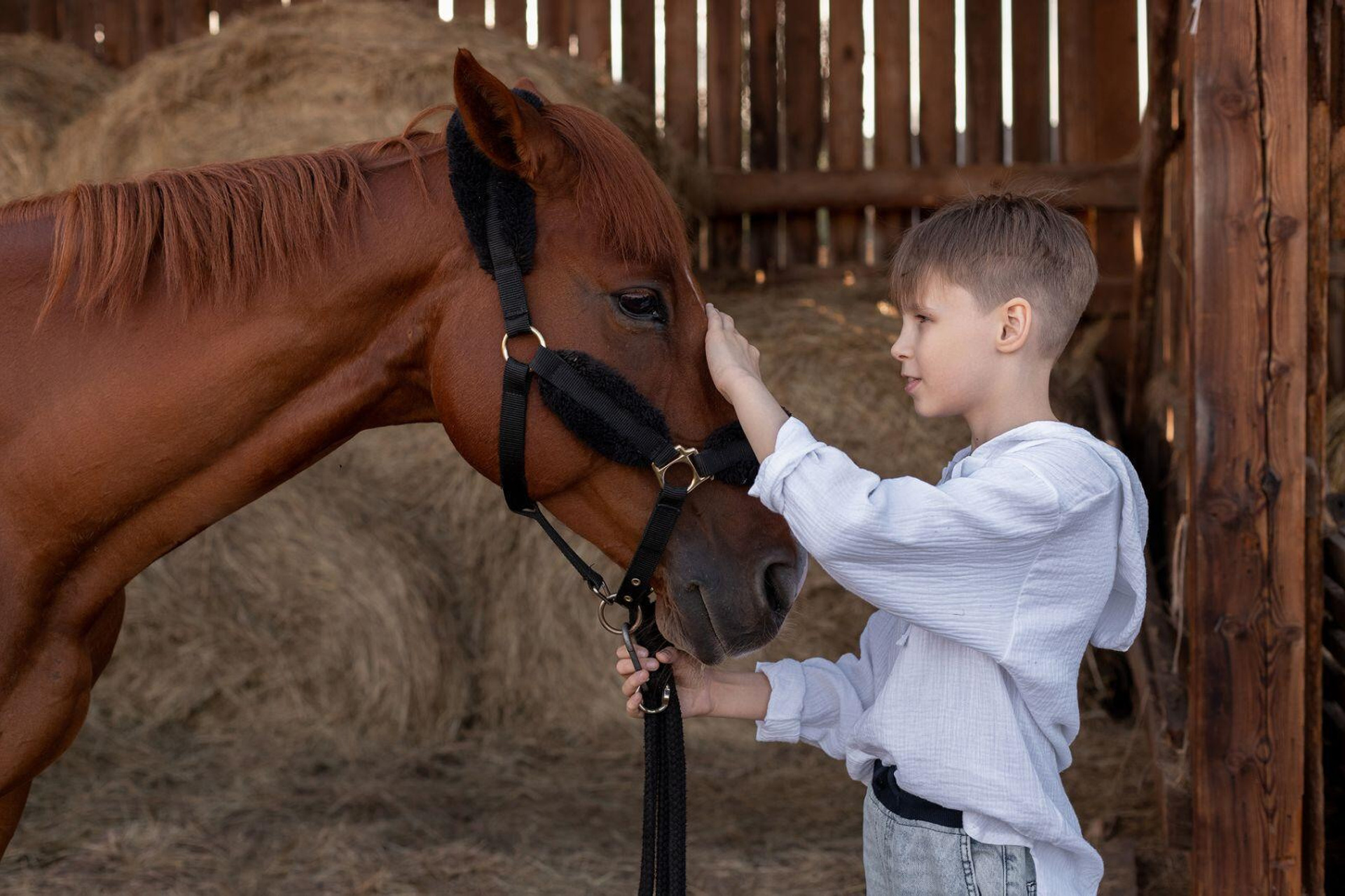Дети. Свадебный, семейный и школьный фотограф в Иркутске Беломестнова Ольга