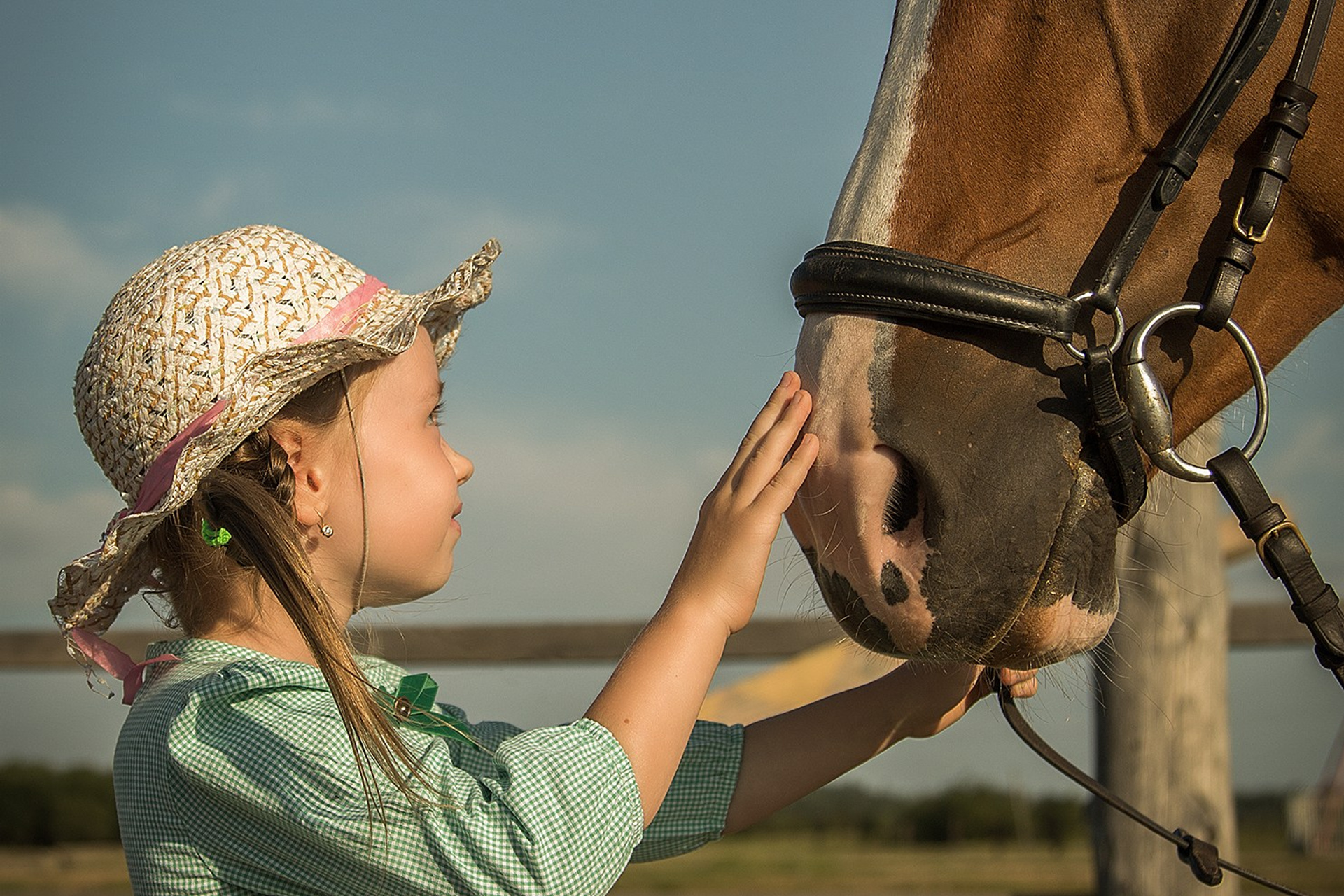 Ретро. Свадебный, семейный и школьный фотограф в Иркутске Беломестнова Ольга