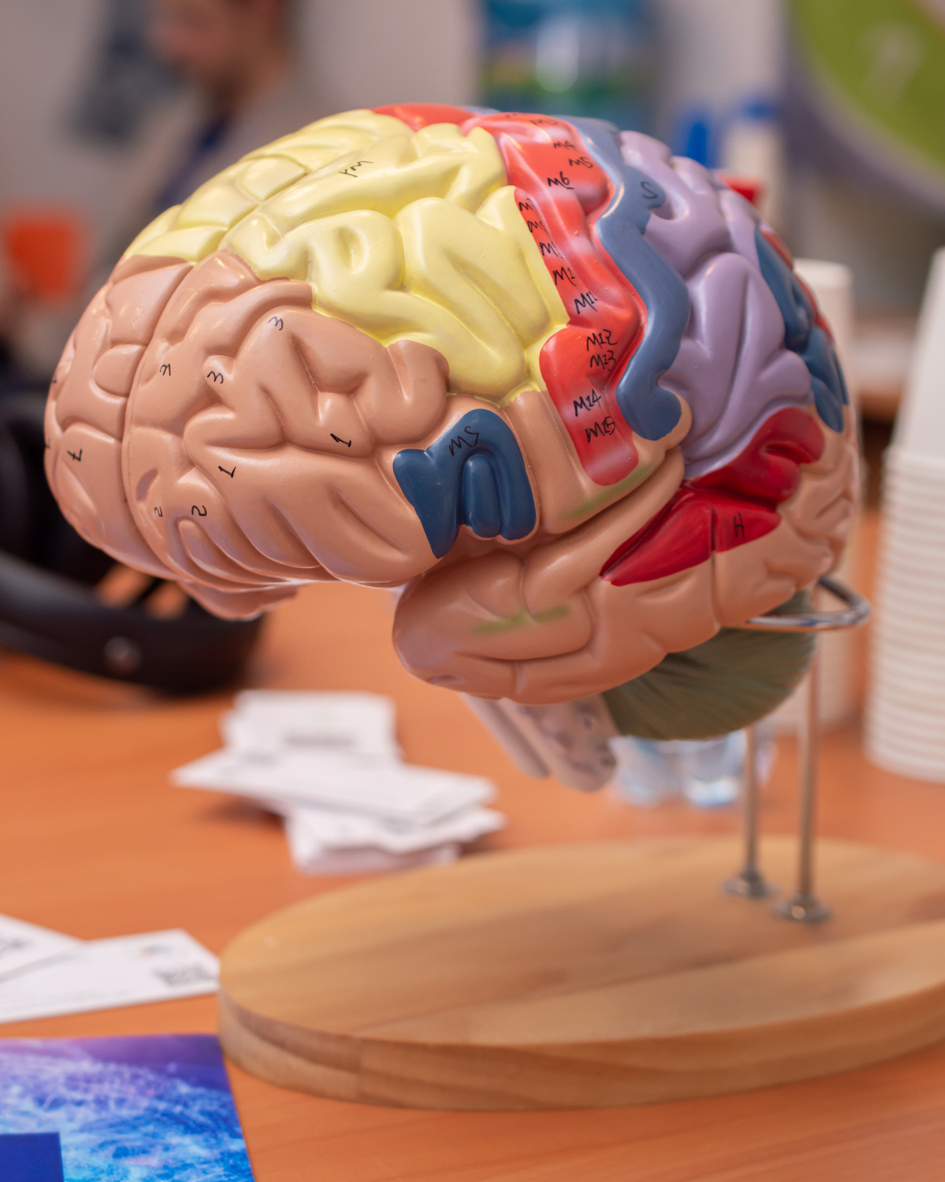 Медицинская конференция