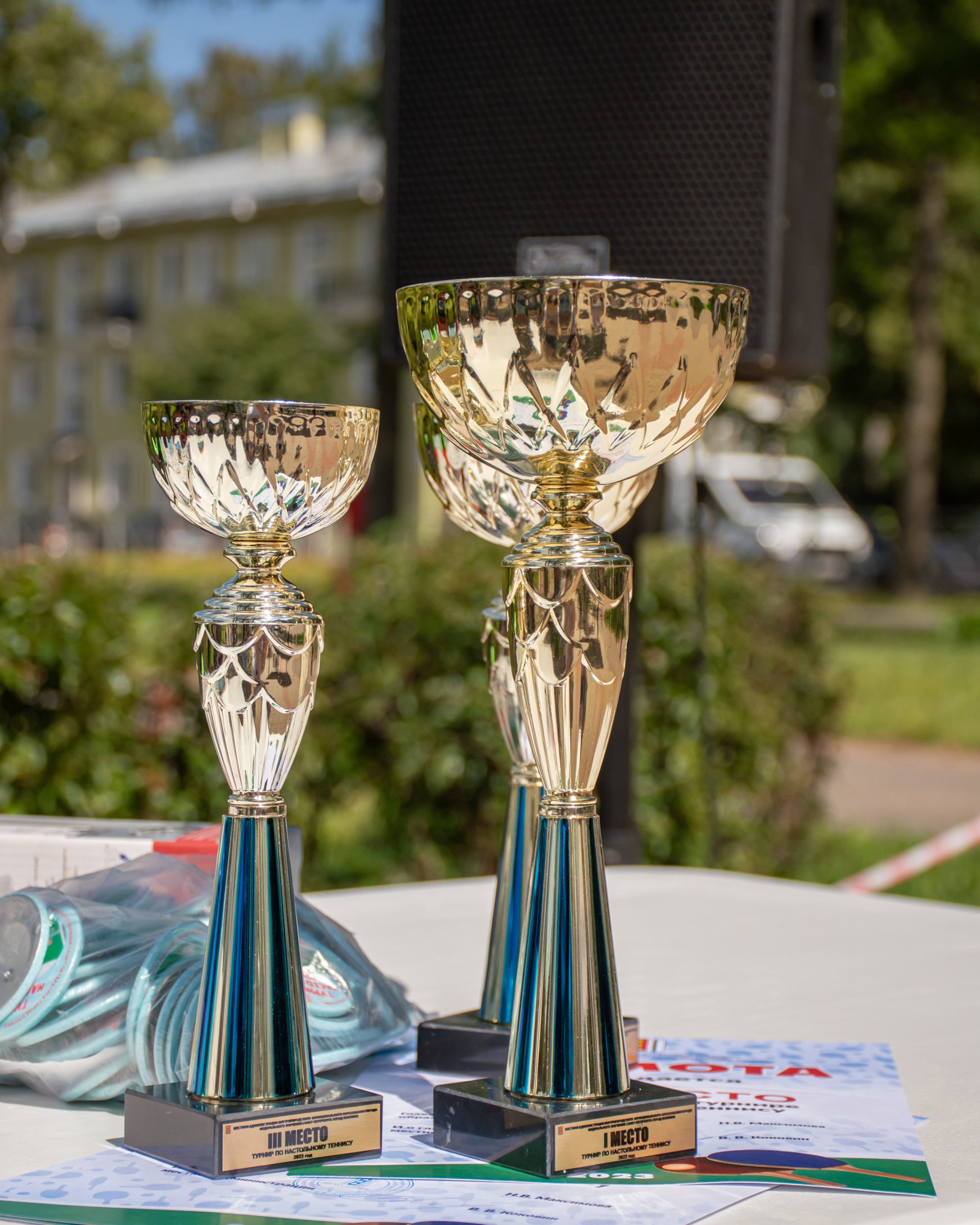 Турнир по настольному теннису