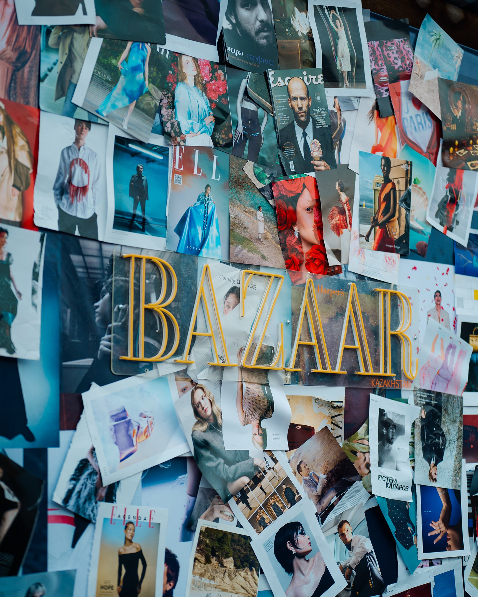 Пикник — 2025