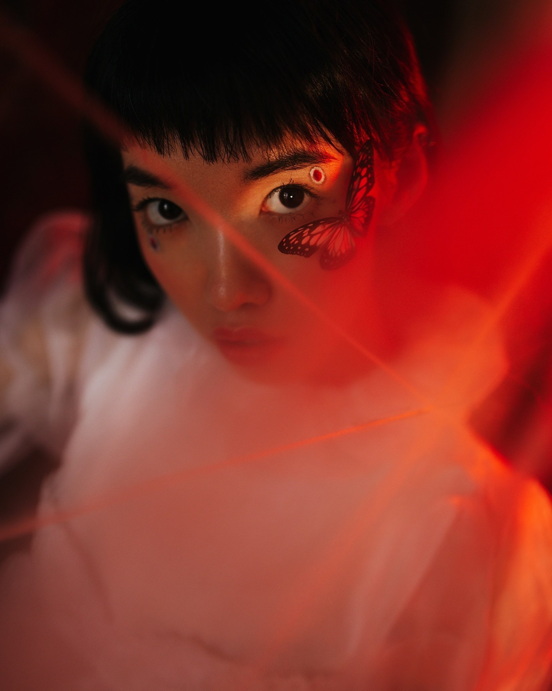 Света — творчество, бабочки