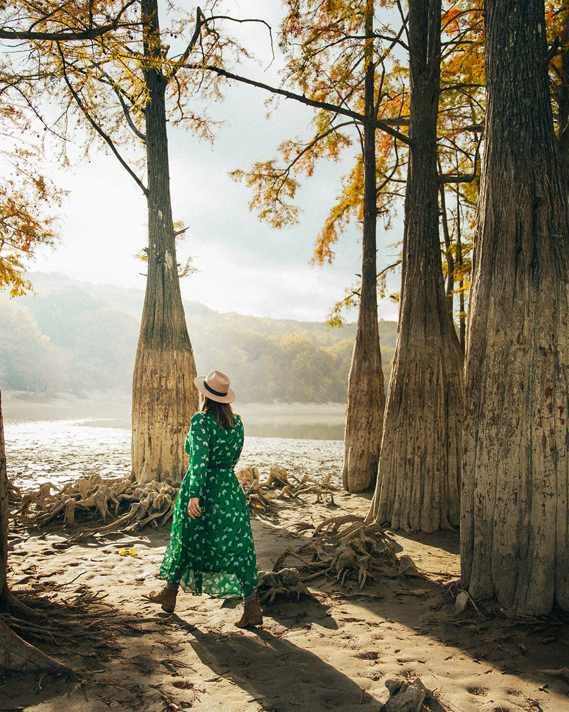 СУККО | КИПАРИСЫ