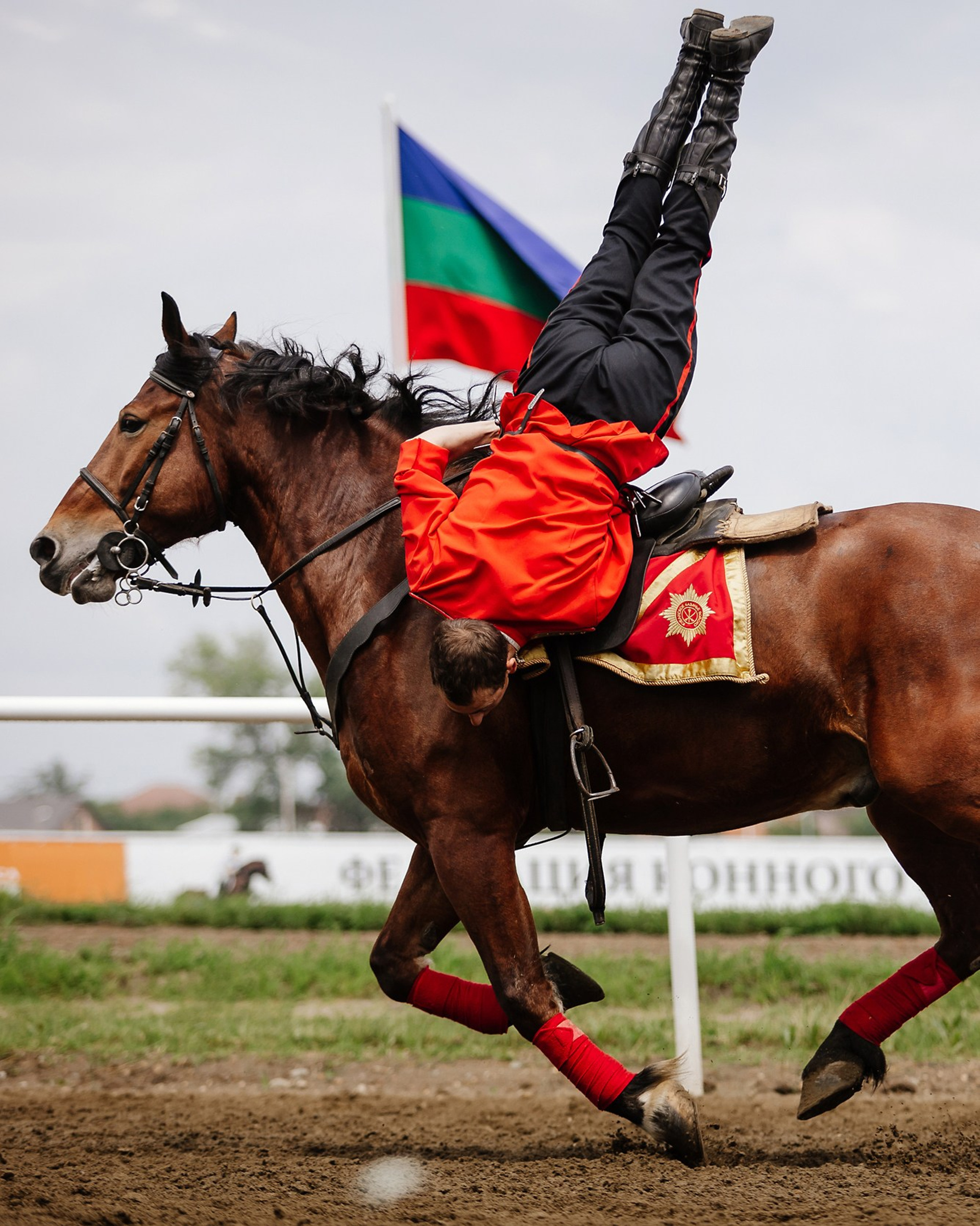 Скачки 17.06.23