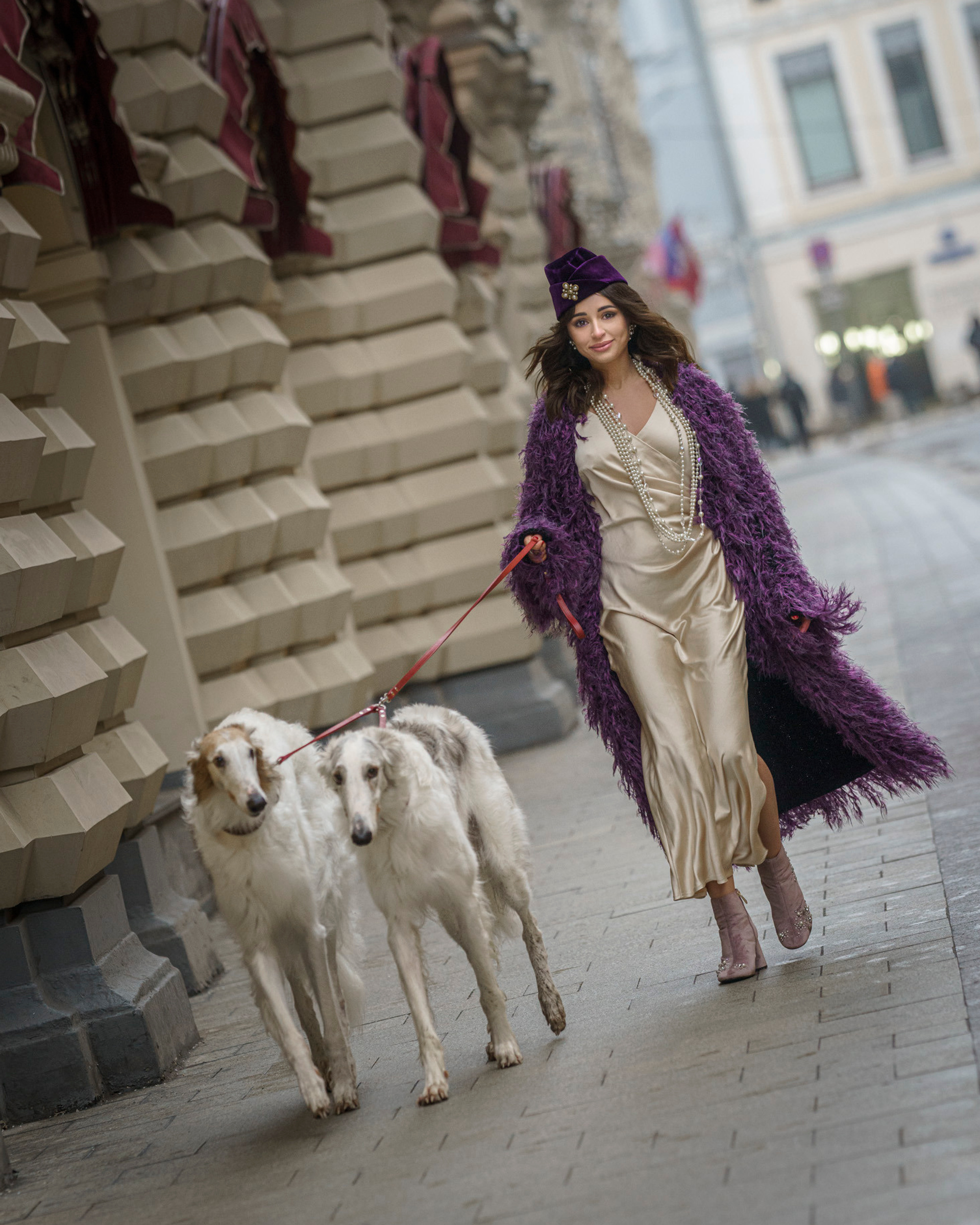 Настя и борзые