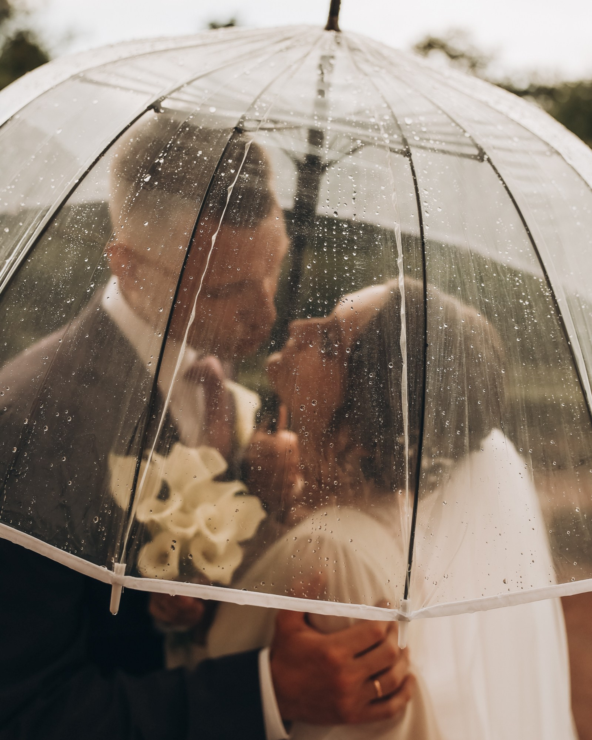 Екатерина & Сергей