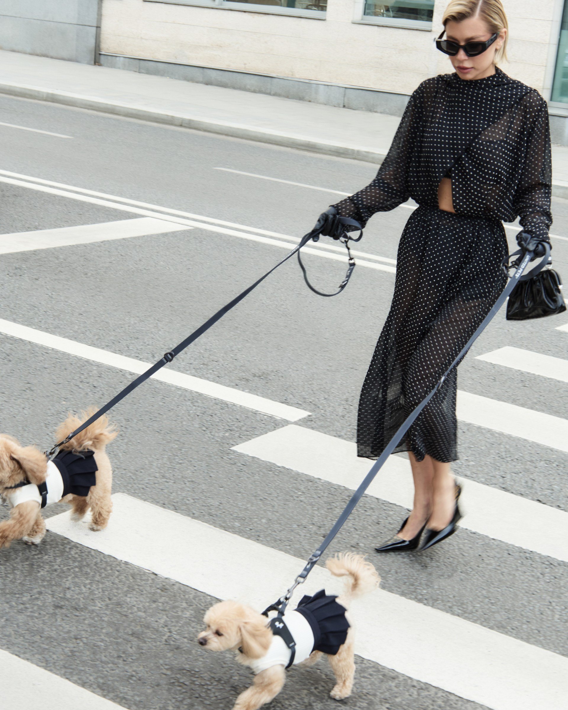 IV SAINT BERNARD x LINA DEMBIKOVA
