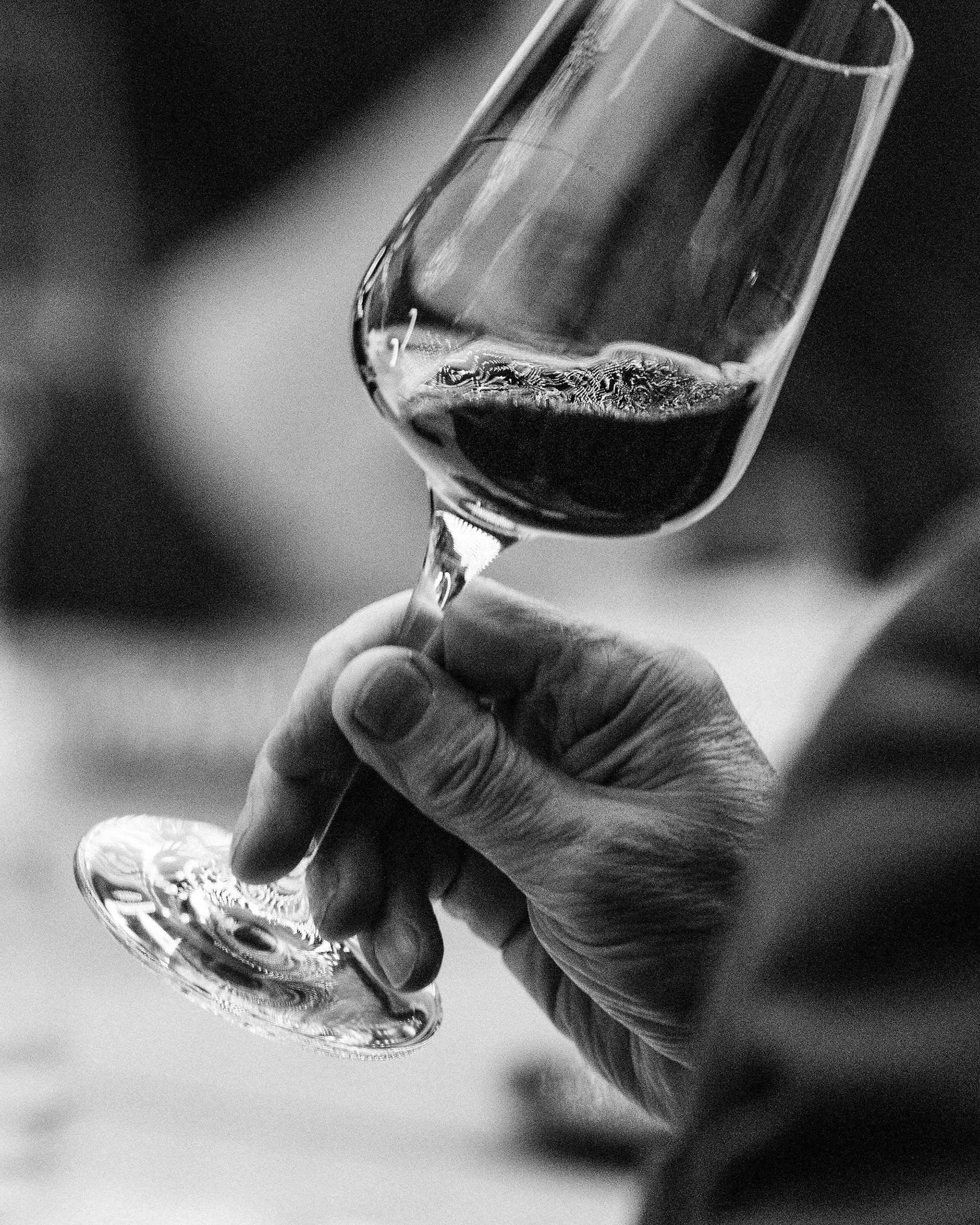 Дегустация в Энотеке