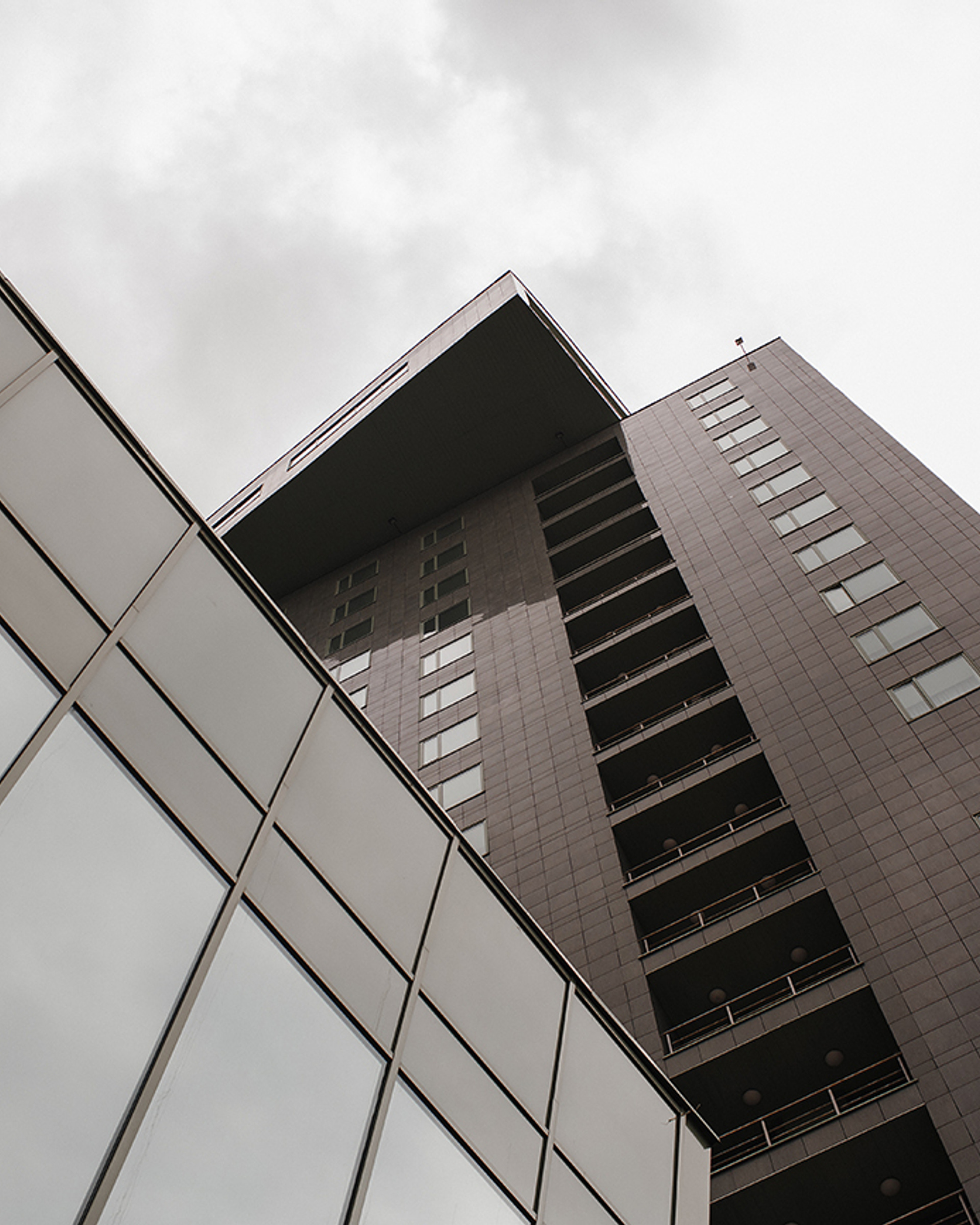 Твои помидорки самые лучшие