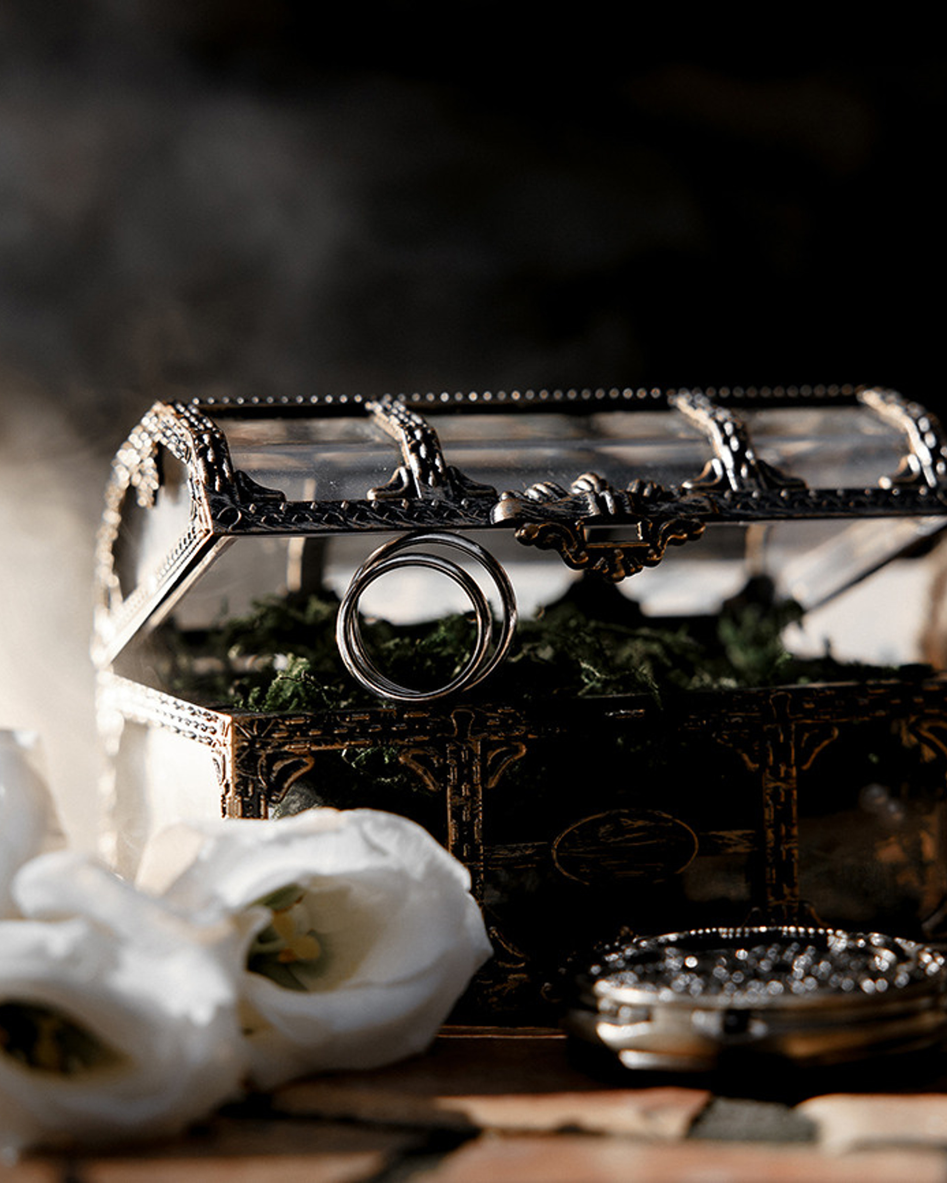 Леш, утешь ее