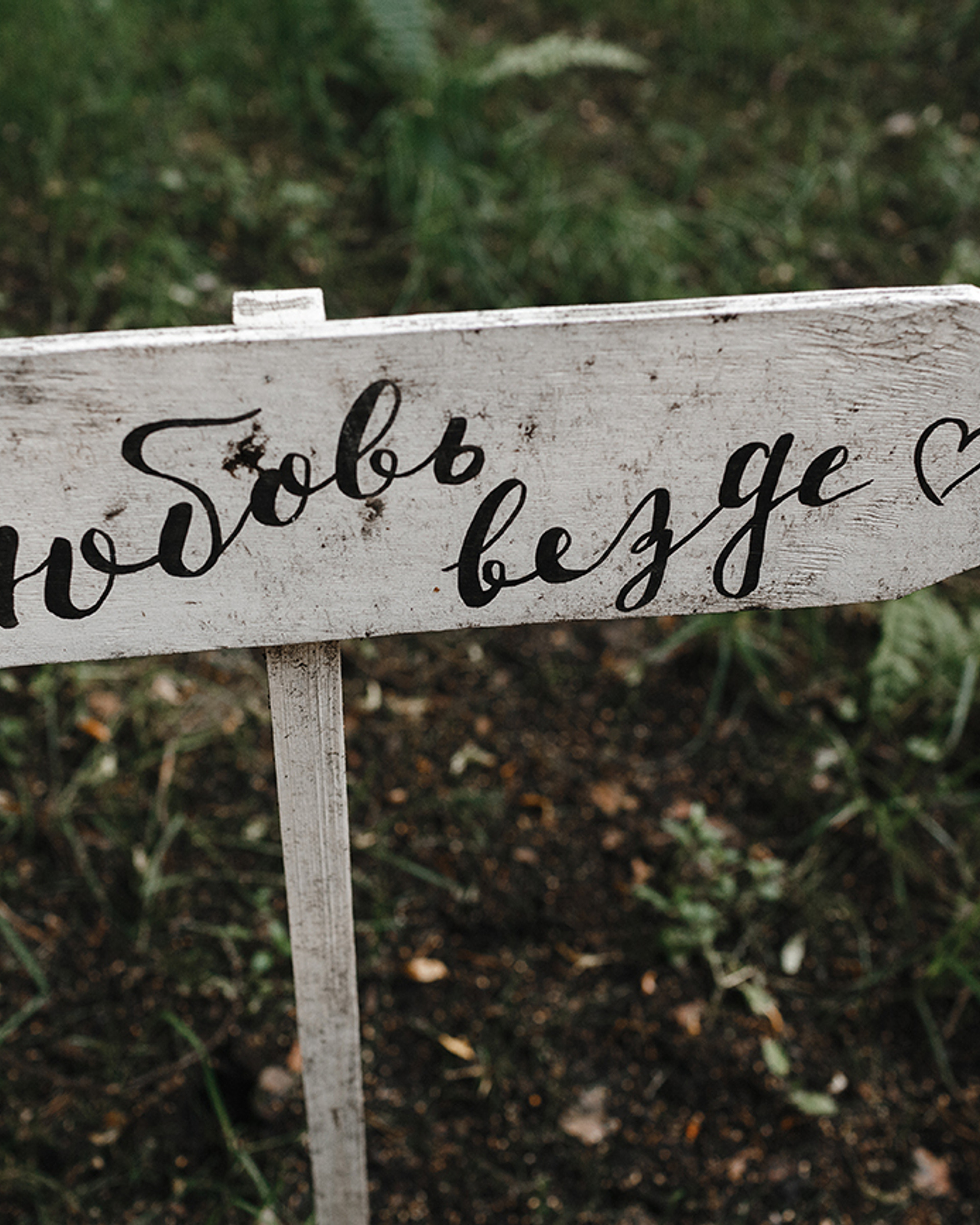 Саша, я прошу тебя — только не на газон