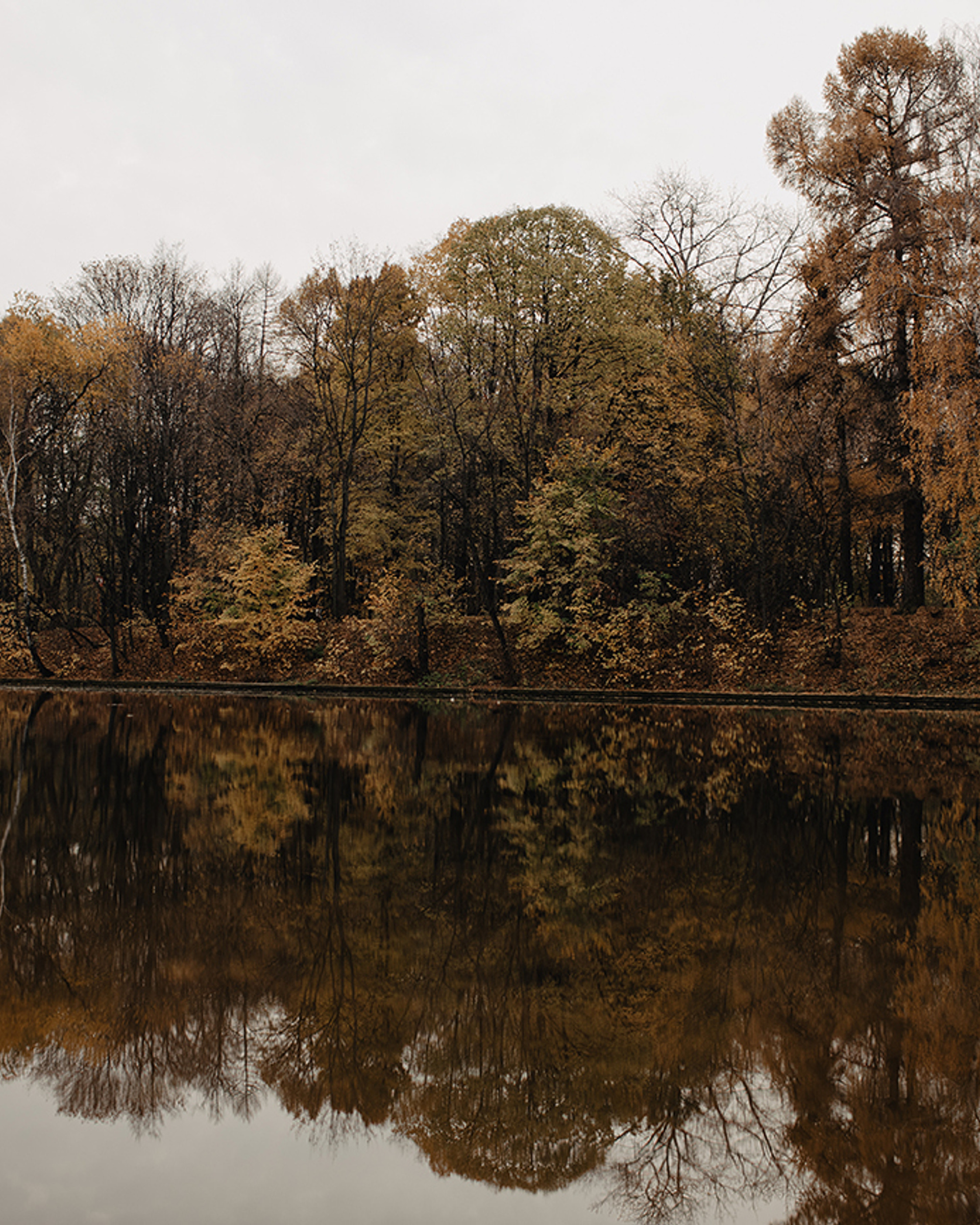 У вас большие фотоаппараты?