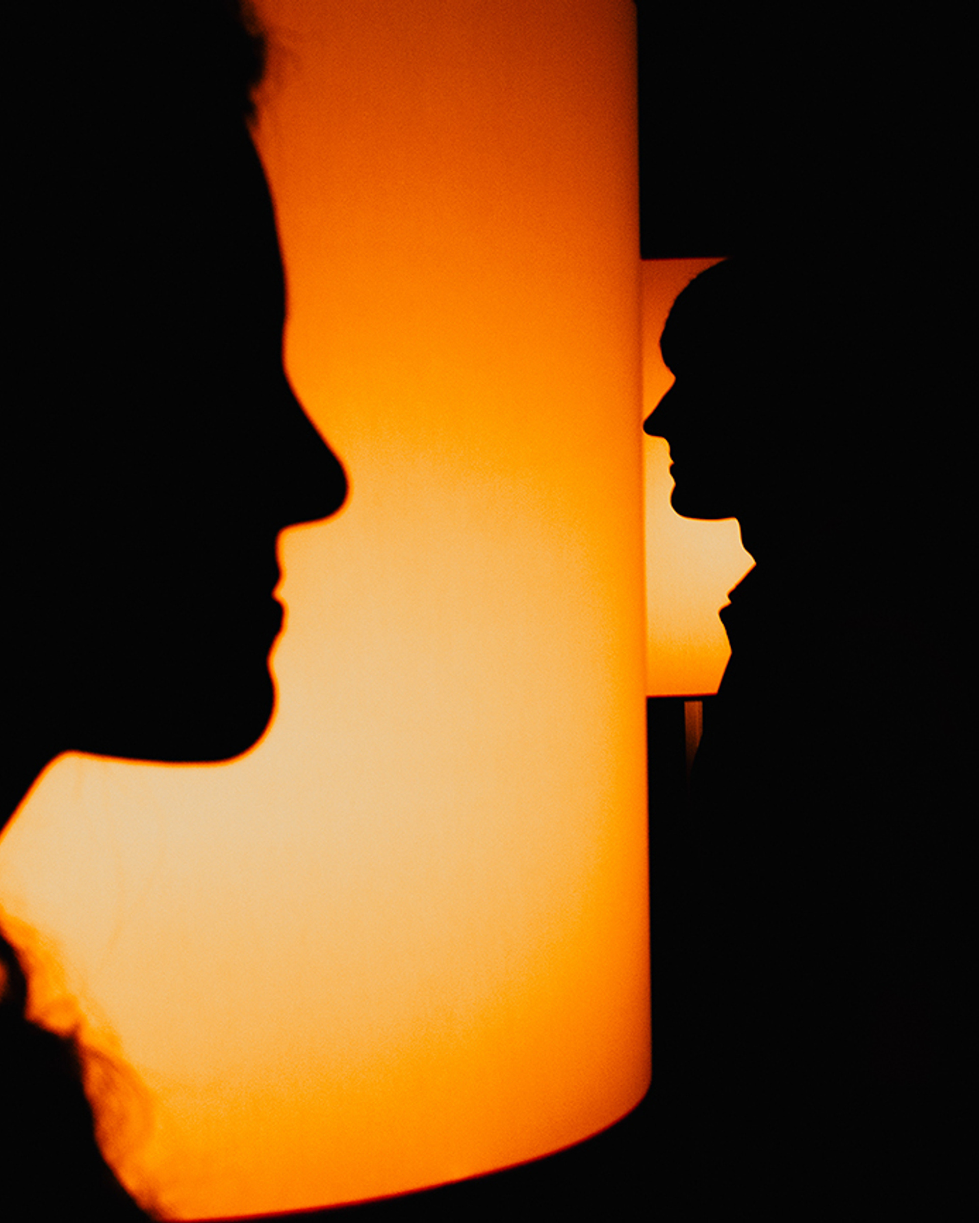 Теплые коты. Будем гладить всех мурчащих