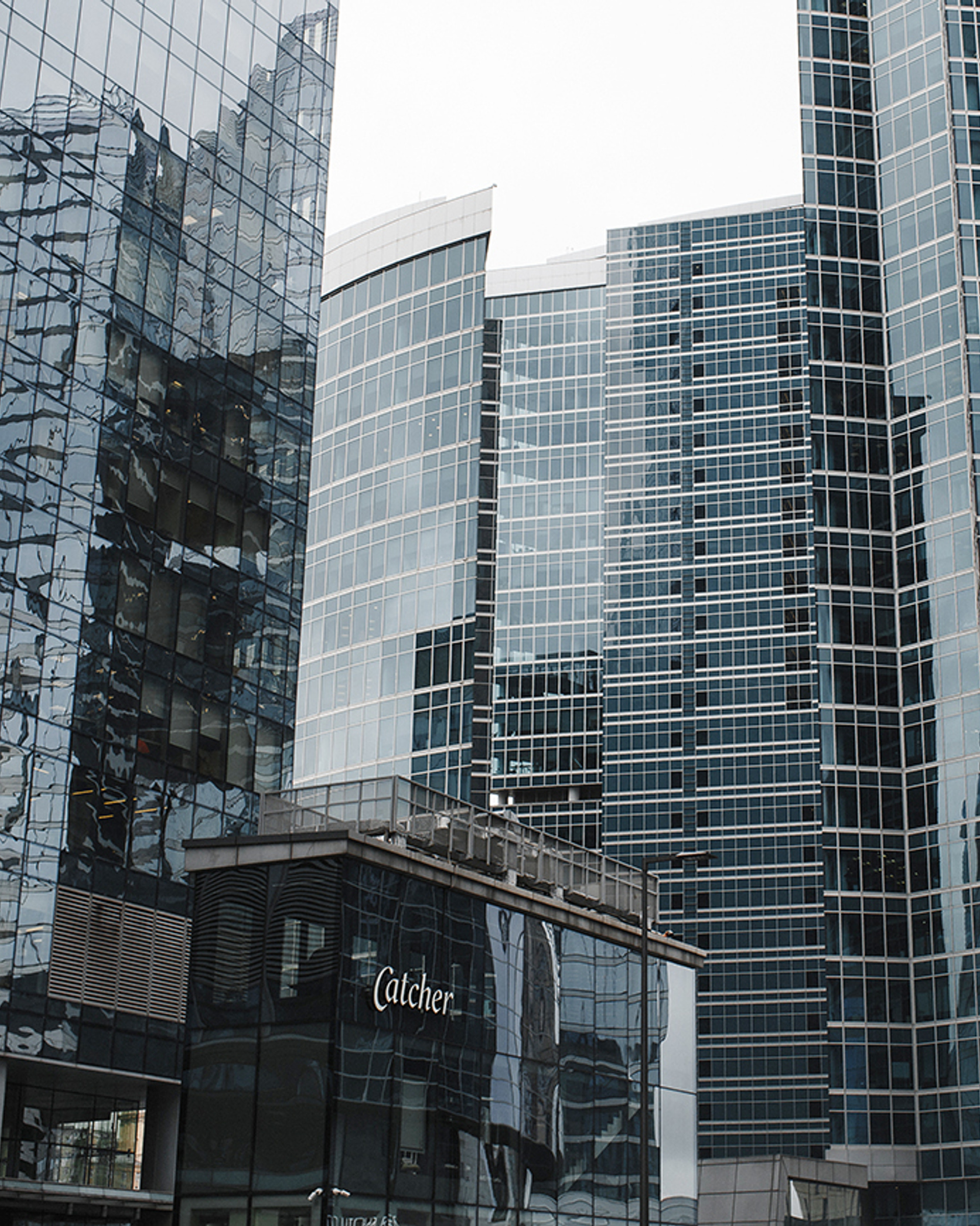 Рыба моей мечты