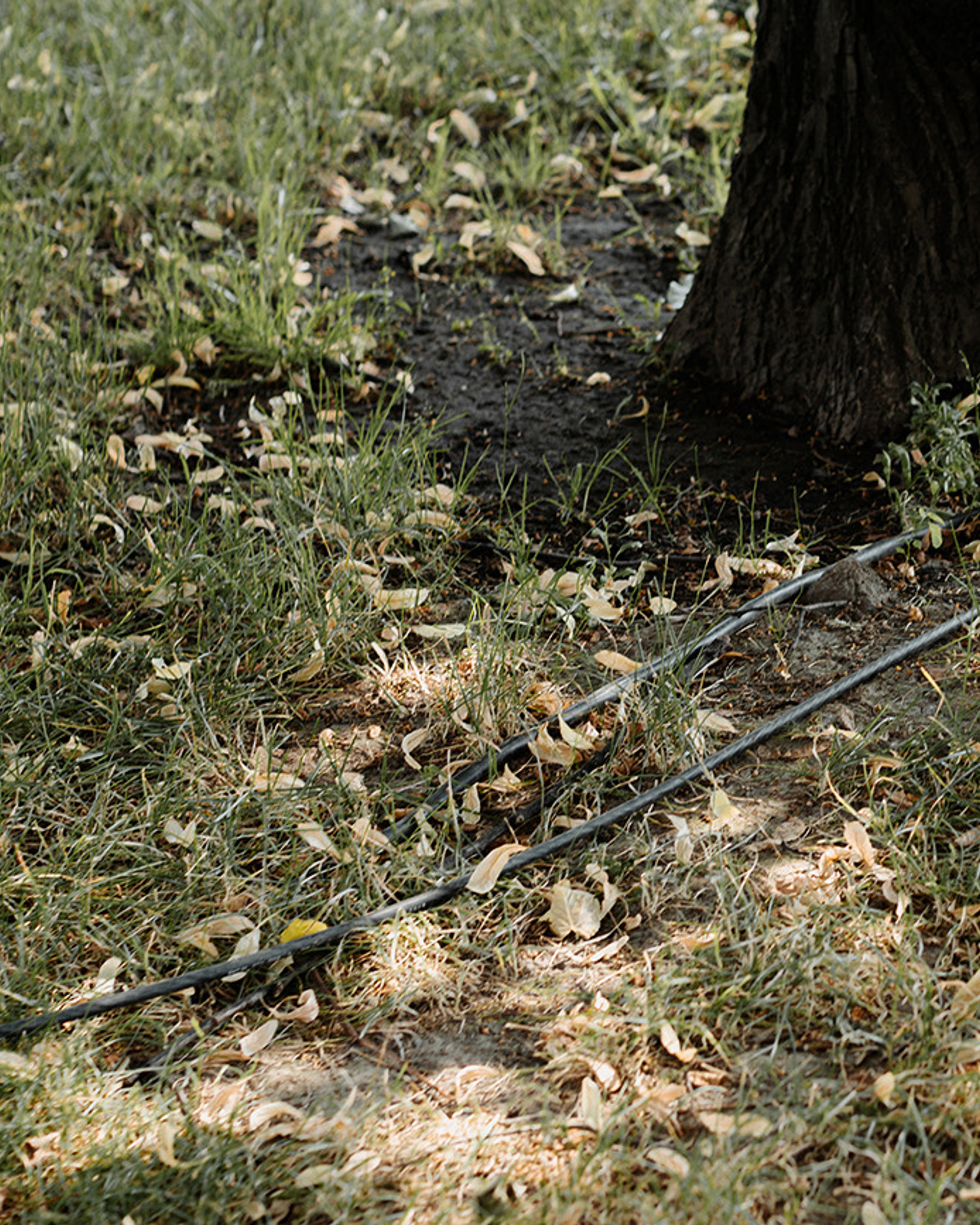 Ая яй яй девчронка, где взяла такие ножки