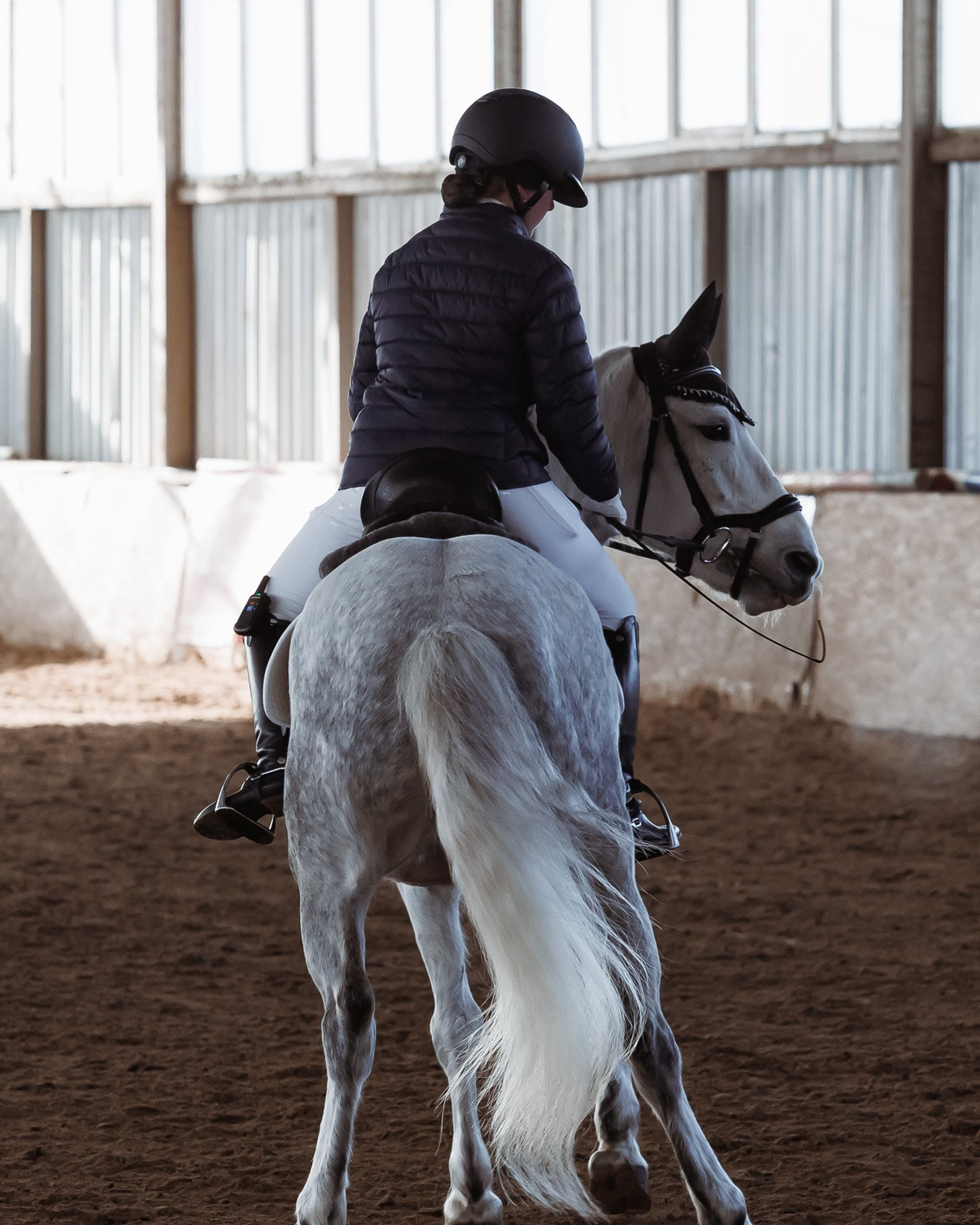 Открытая клубная тренировка по&nbsp;веыздке
