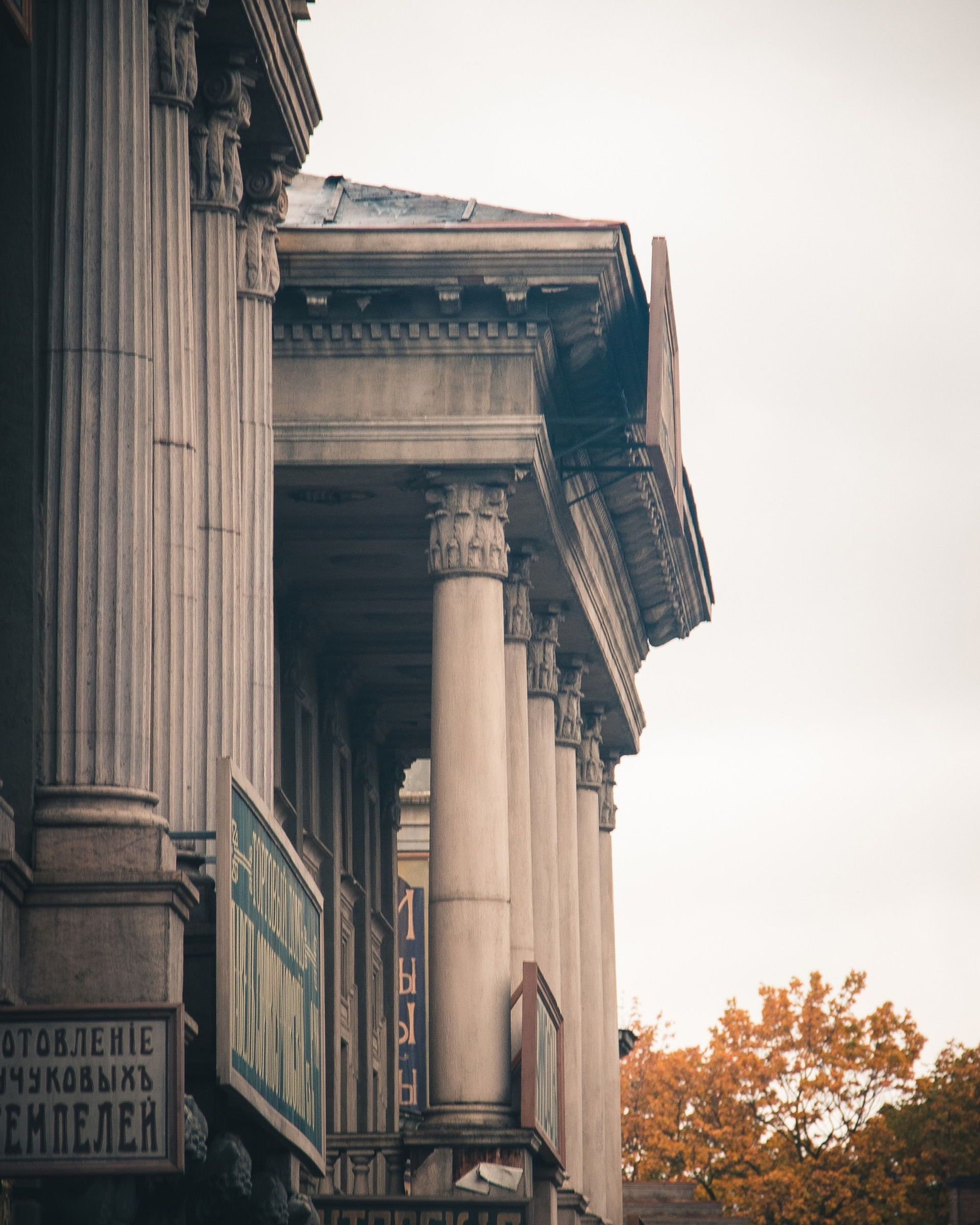 Где рождается кино…