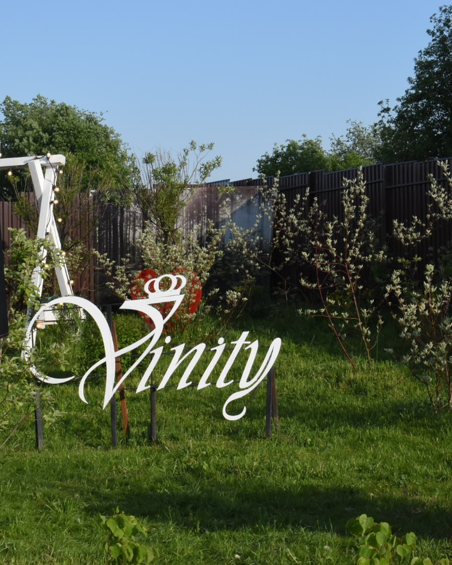 Vinity летний праздник
